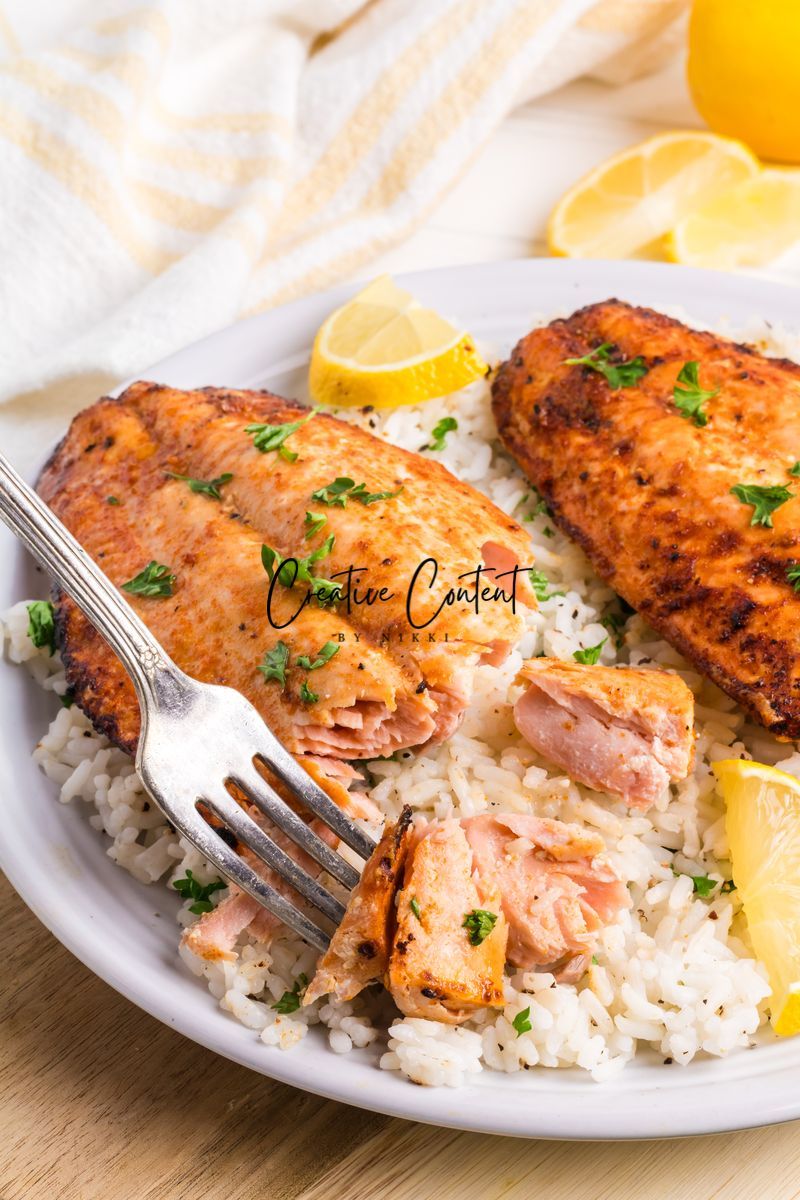 Air Fryer Frozen Salmon - Exclusive (only air fryer trays shown / no air fryer)