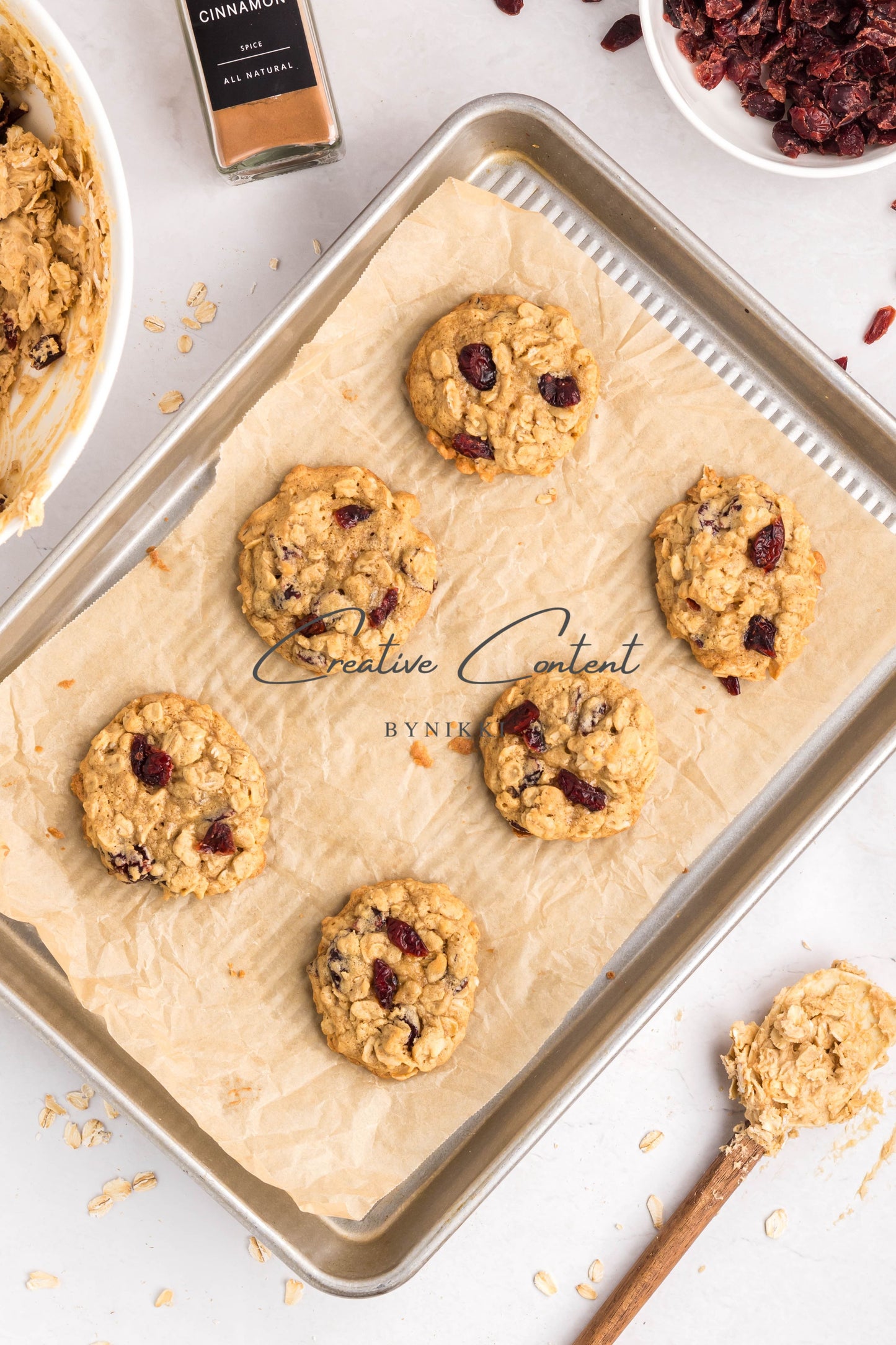 Cranberry Oatmeal Cookies - Set 1 of 2