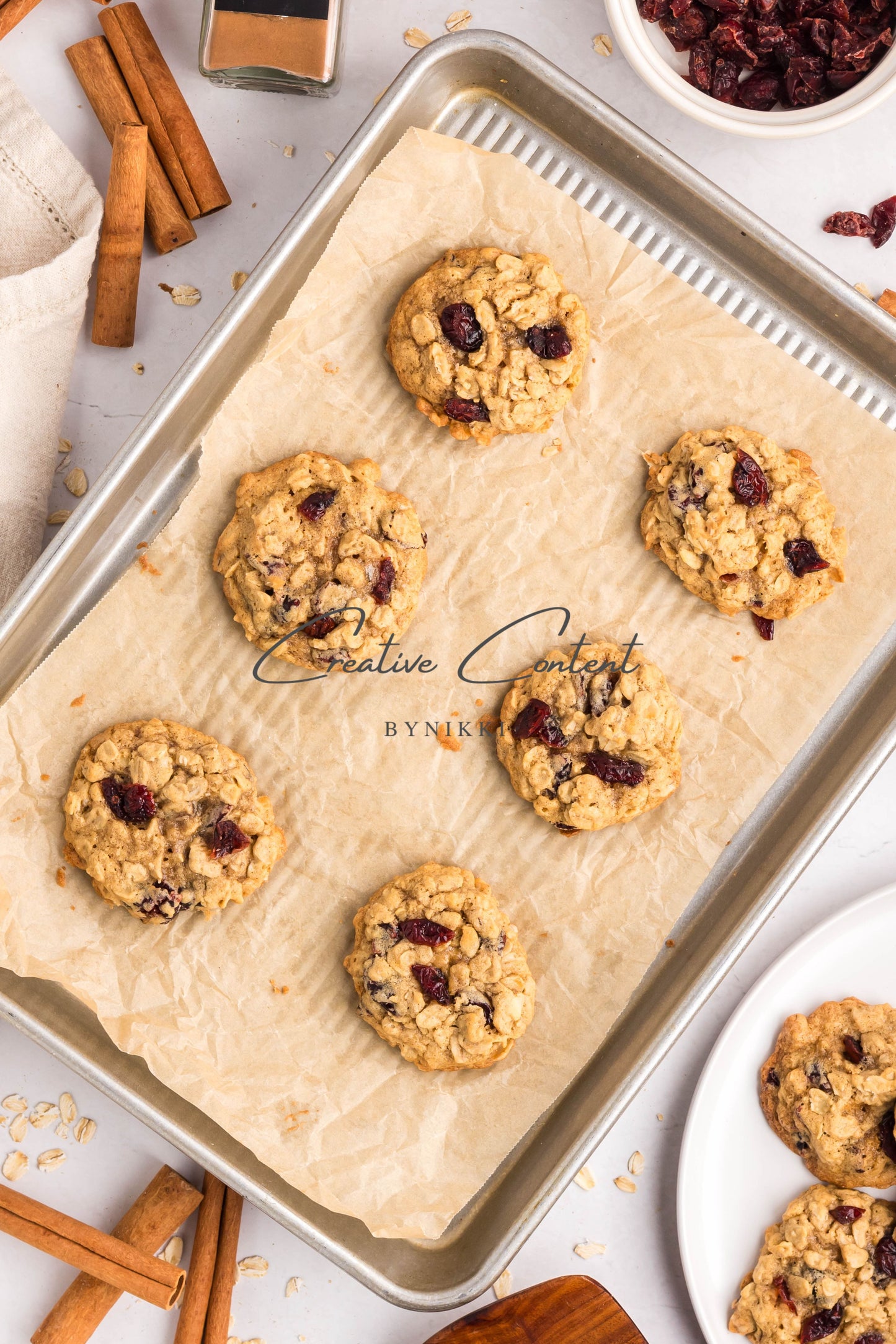 Cranberry Oatmeal Cookies - Set 1 of 2