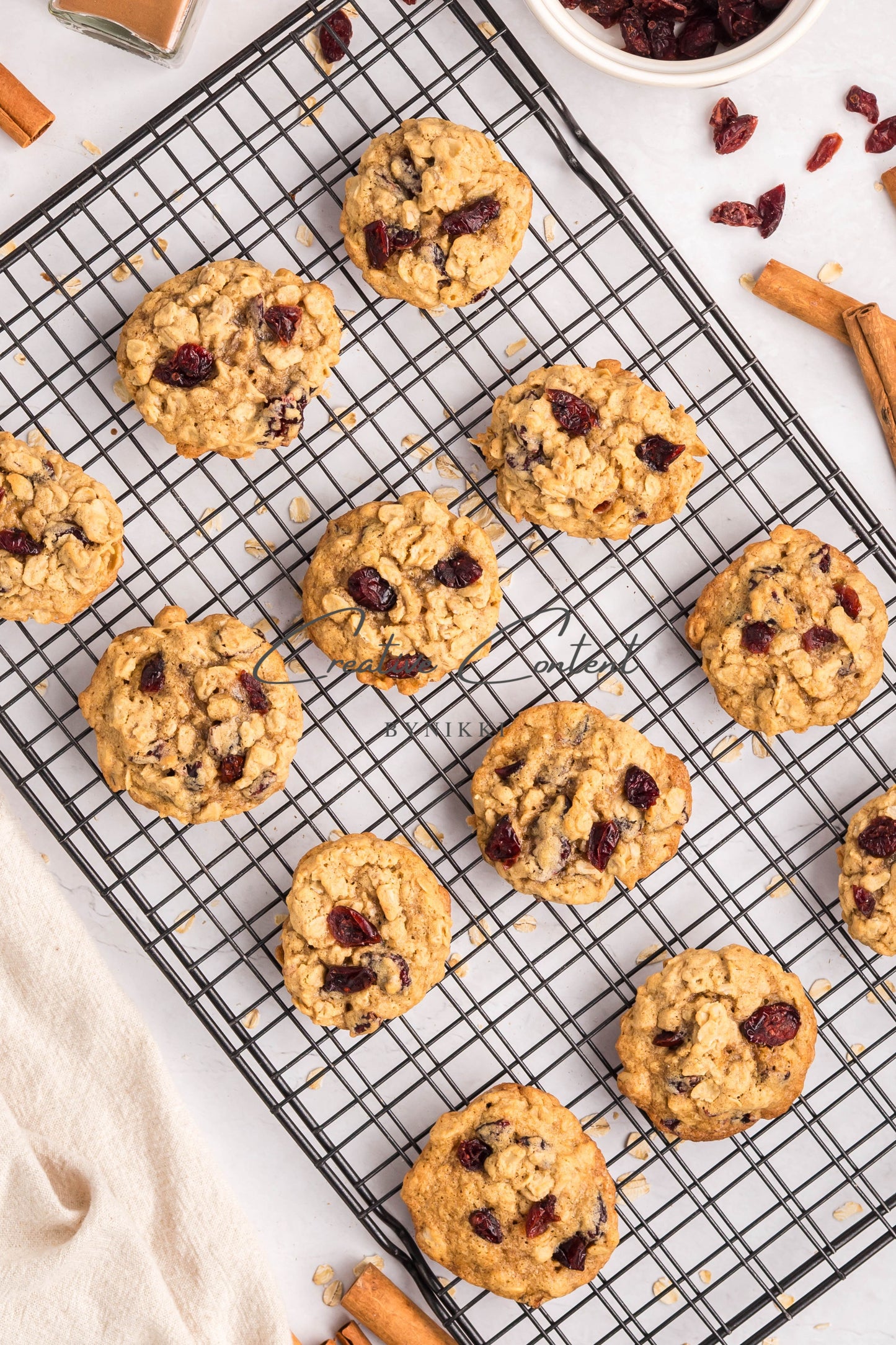 Cranberry Oatmeal Cookies - Set 1 of 2