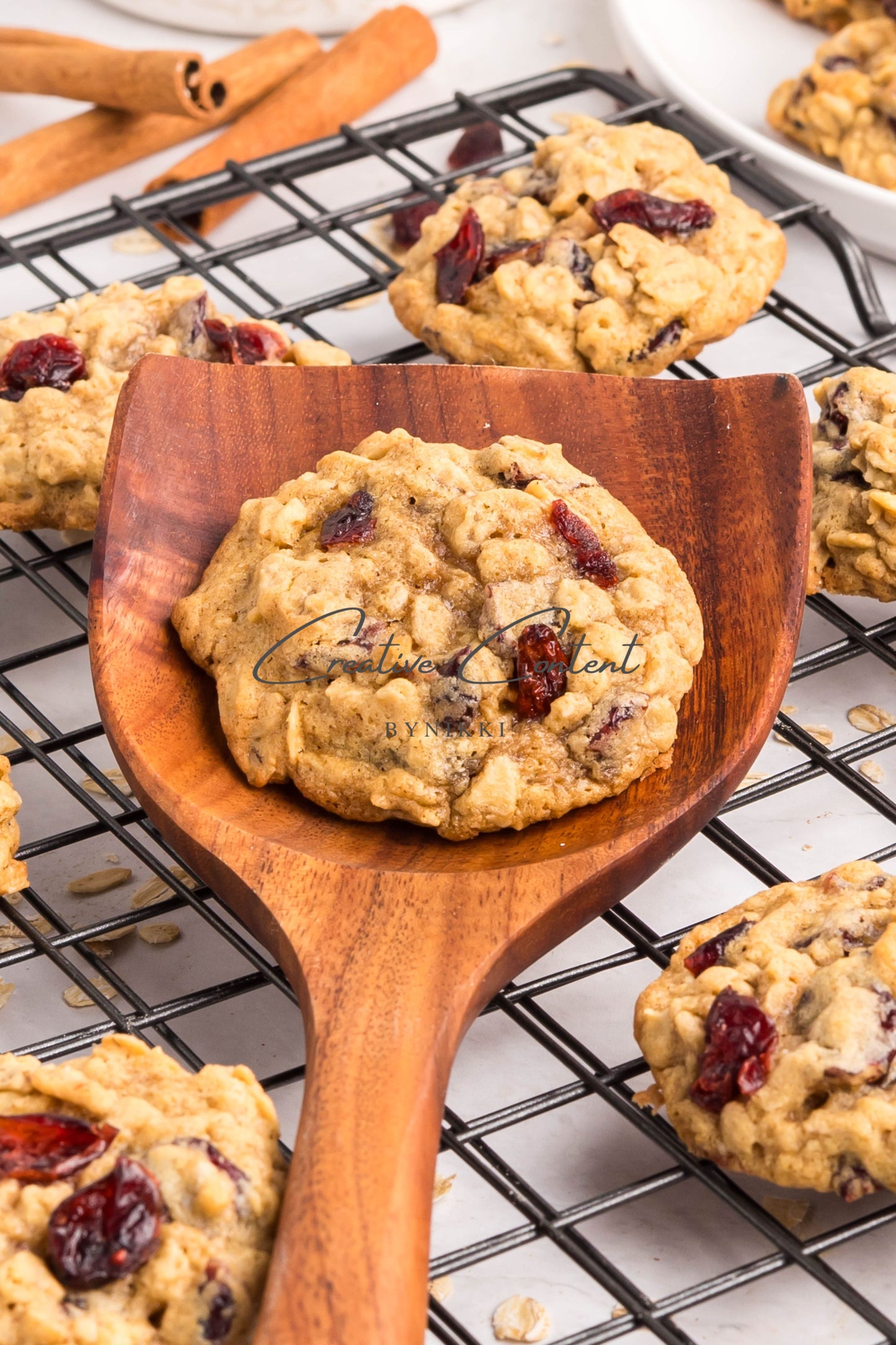 Cranberry Oatmeal Cookies - Set 1 of 2