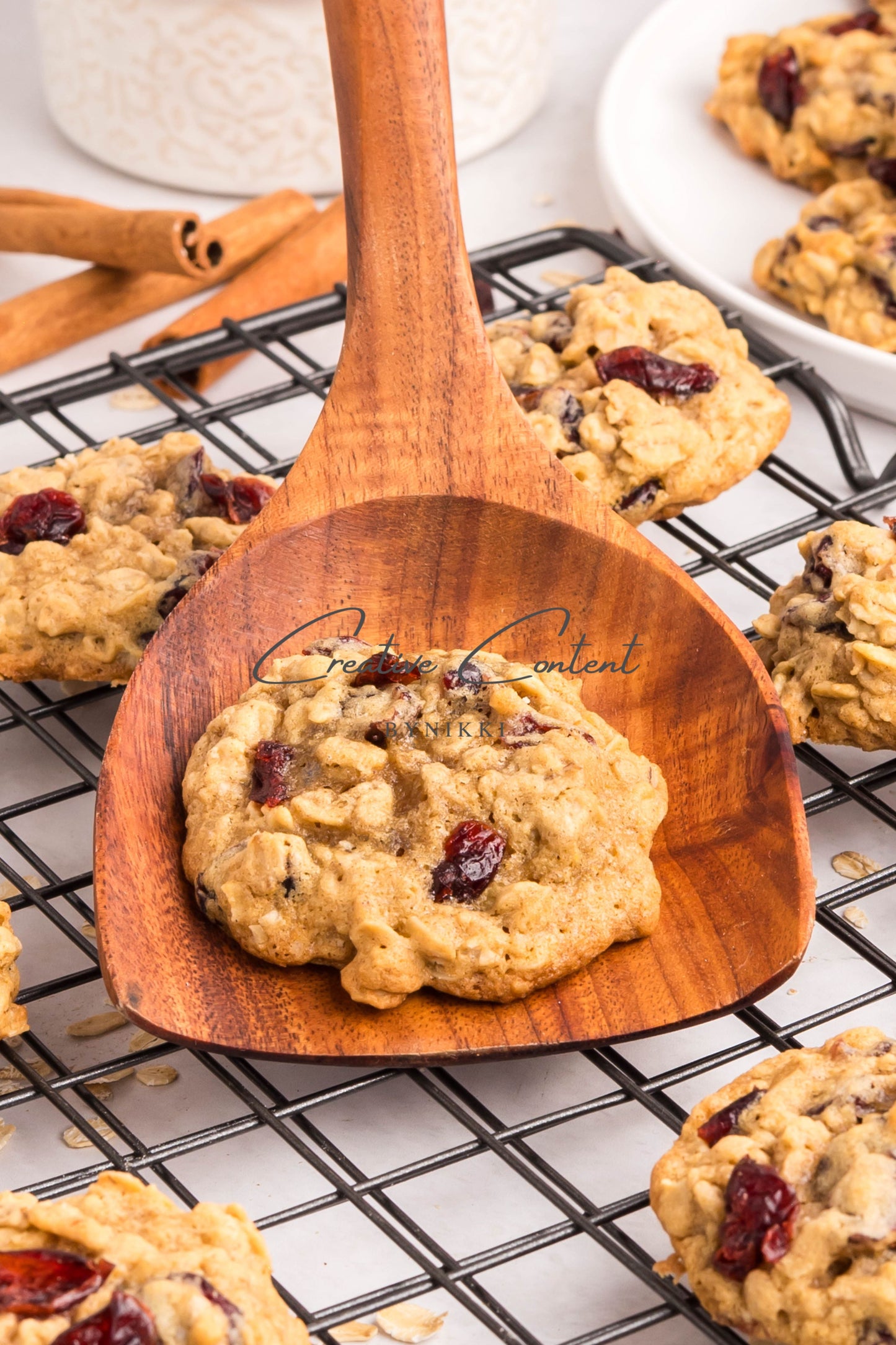 Cranberry Oatmeal Cookies - Set 1 of 2