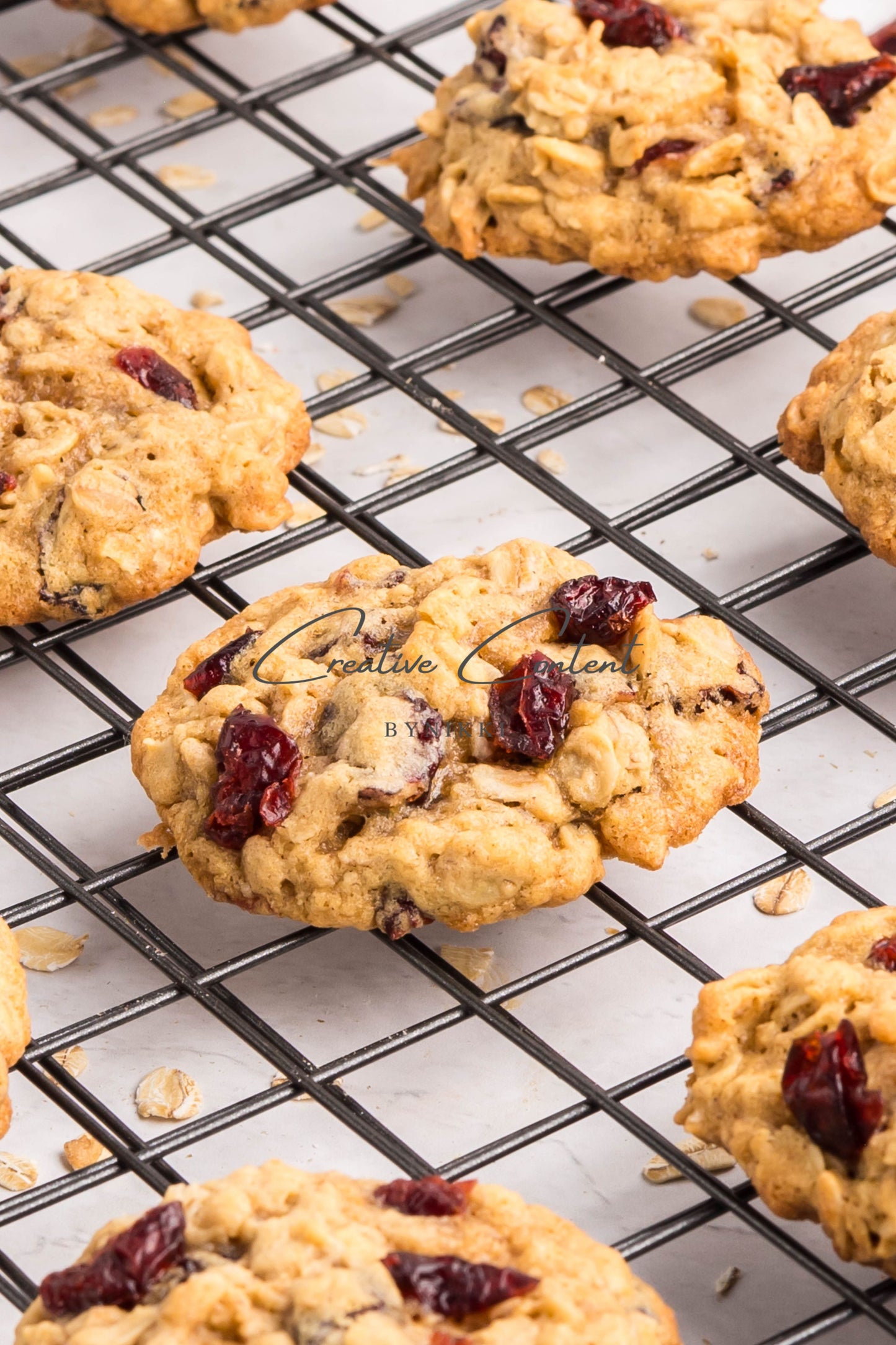 Cranberry Oatmeal Cookies - Set 1 of 2