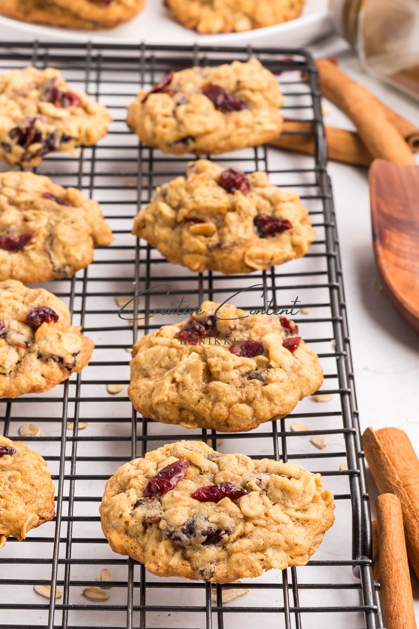 Cranberry Oatmeal Cookies - Set 1 of 2