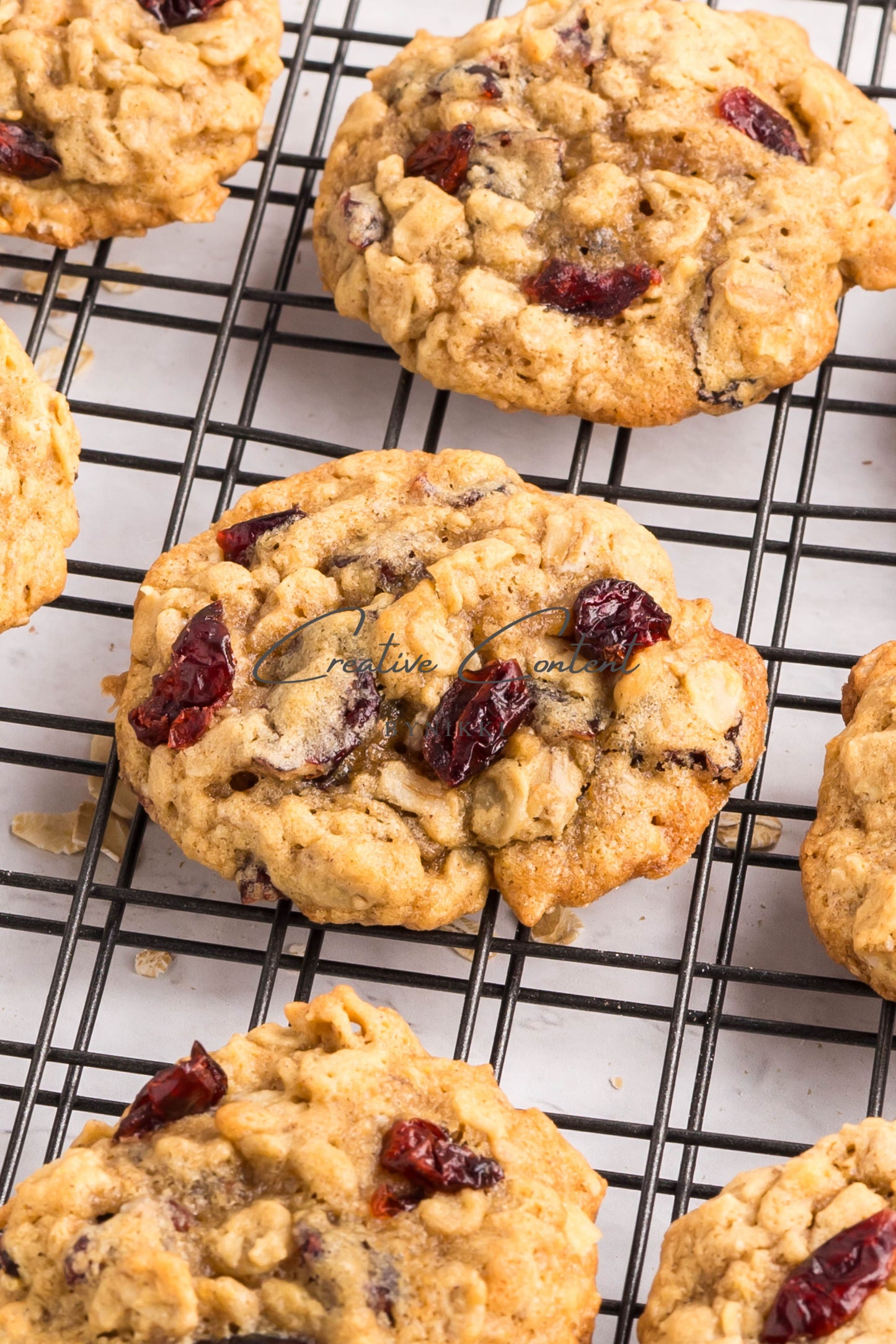 Cranberry Oatmeal Cookies - Set 1 of 2