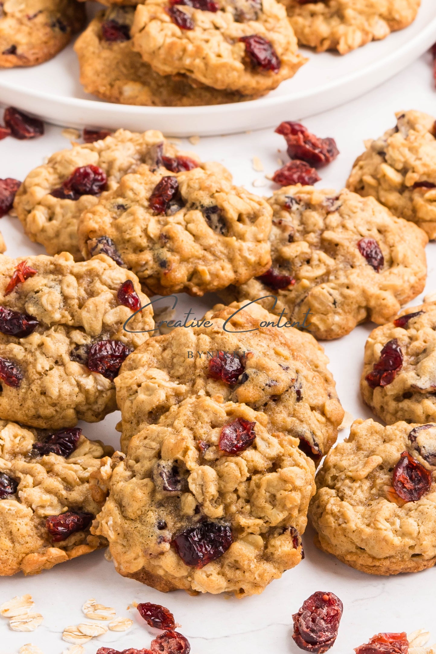 Cranberry Oatmeal Cookies - Set 1 of 2