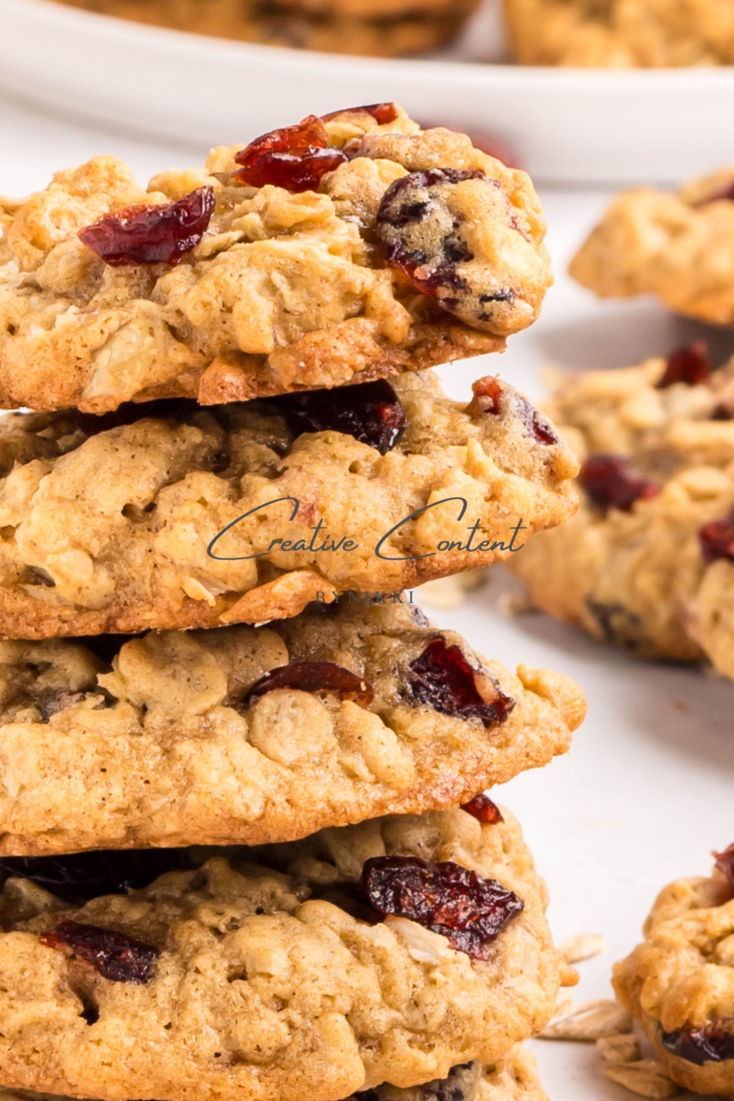 Cranberry Oatmeal Cookies - Set 1 of 2