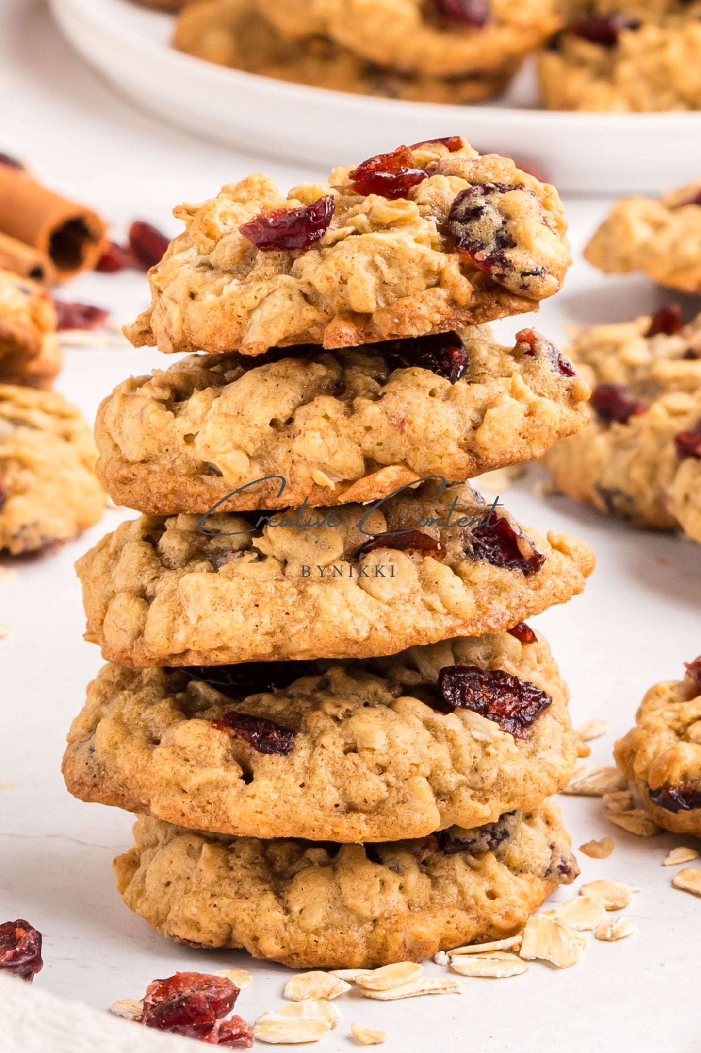 Cranberry Oatmeal Cookies - Set 1 of 2