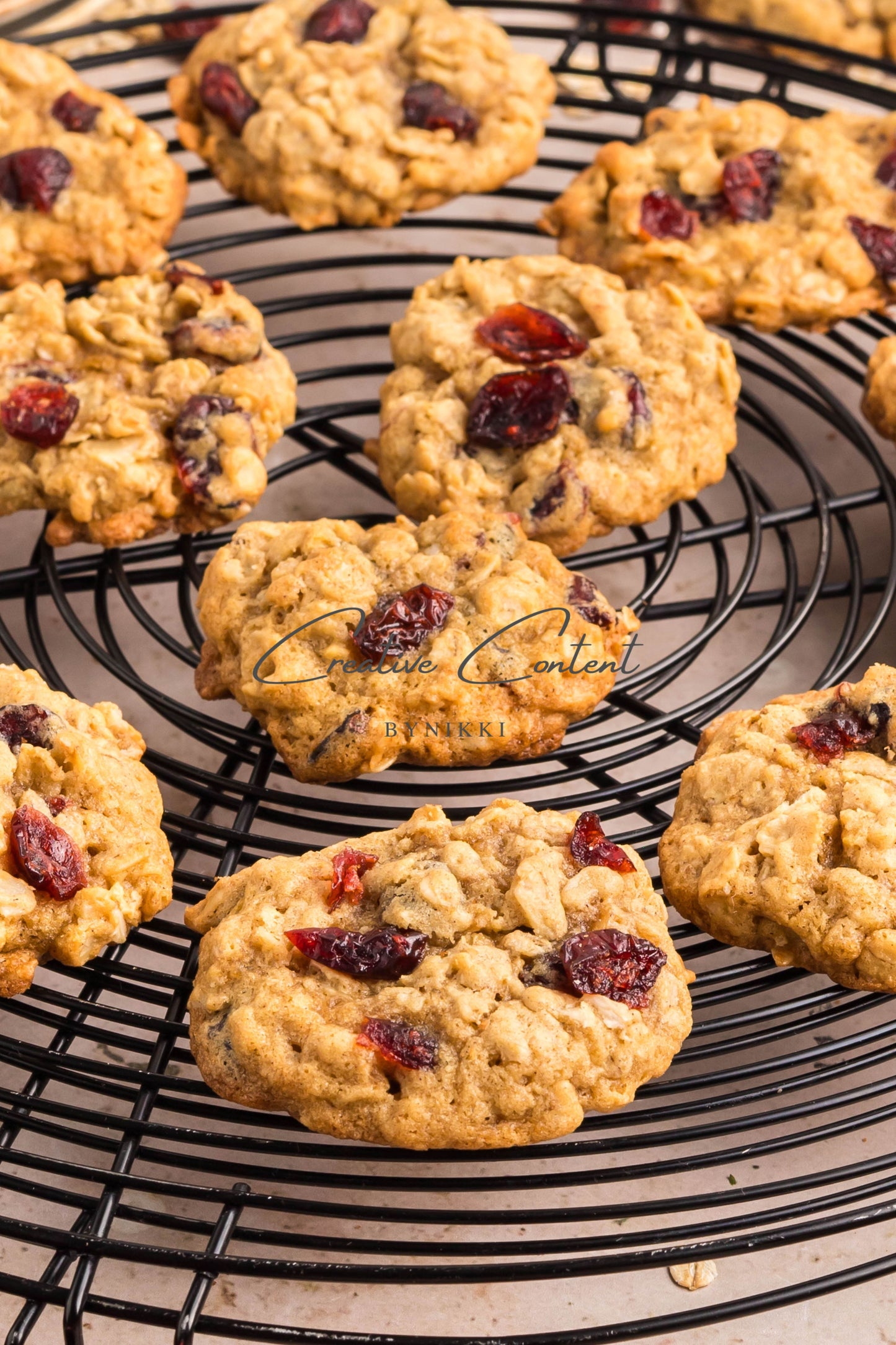 Cranberry Oatmeal Cookies - Set 2 of 2