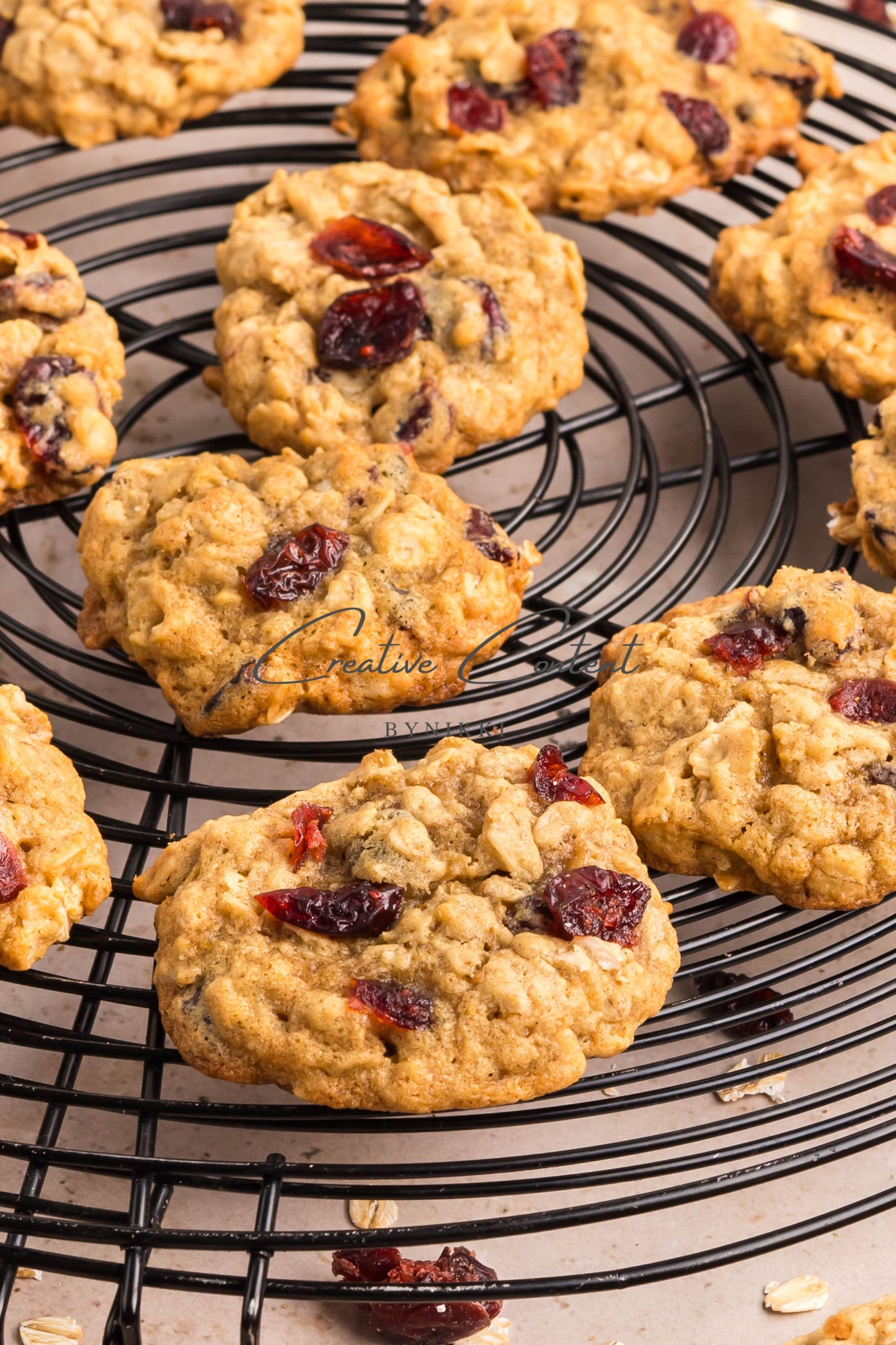 Cranberry Oatmeal Cookies - Set 2 of 2