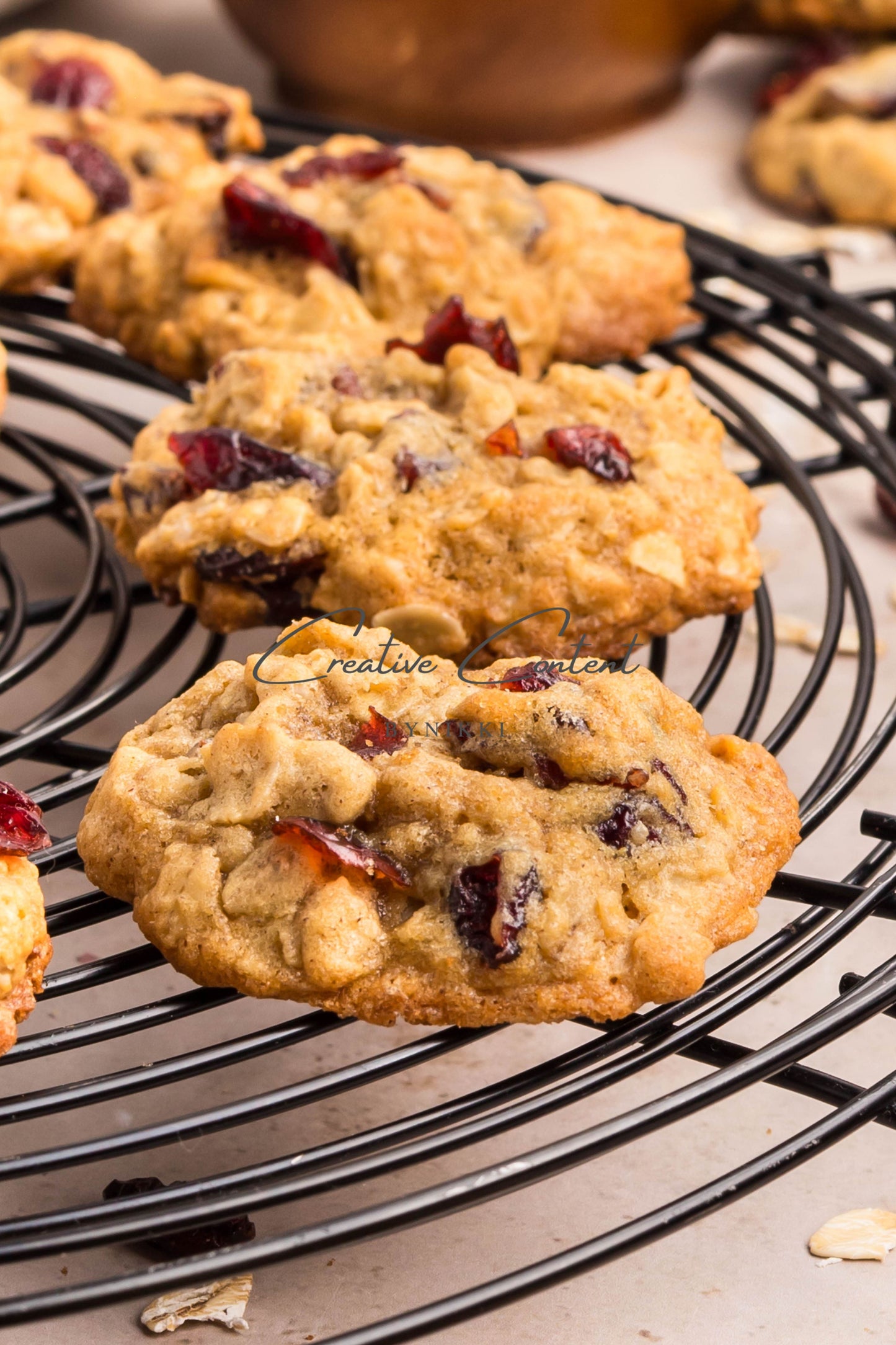 Cranberry Oatmeal Cookies - Set 2 of 2