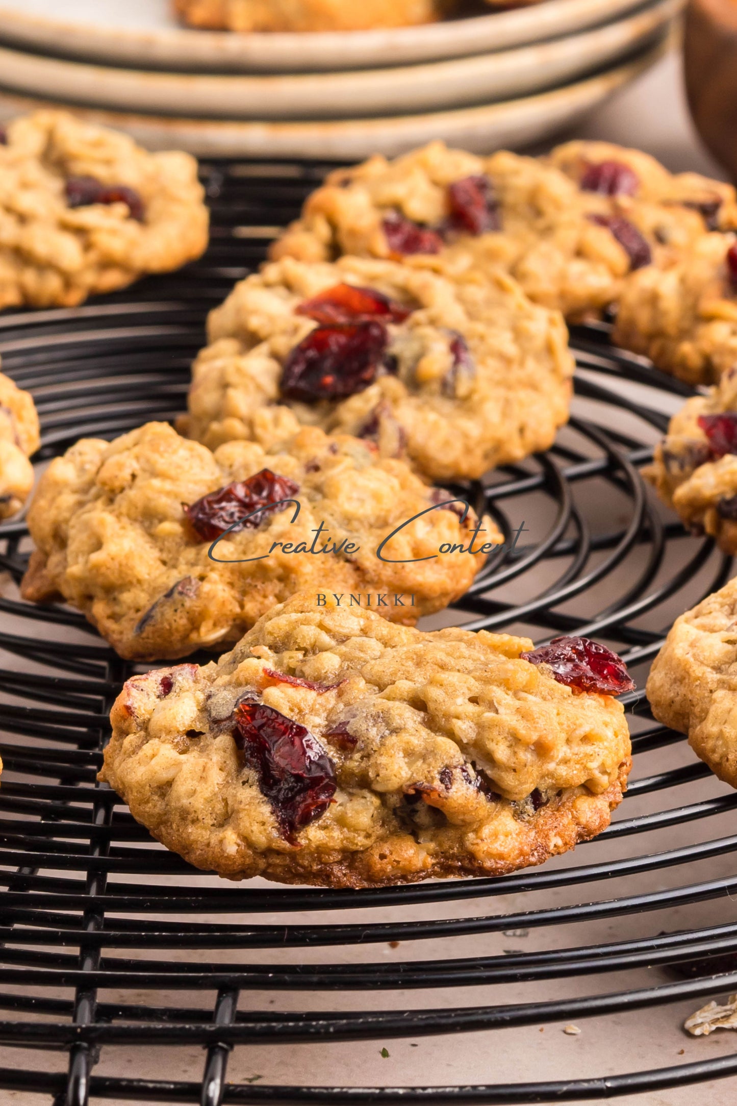 Cranberry Oatmeal Cookies - Set 2 of 2