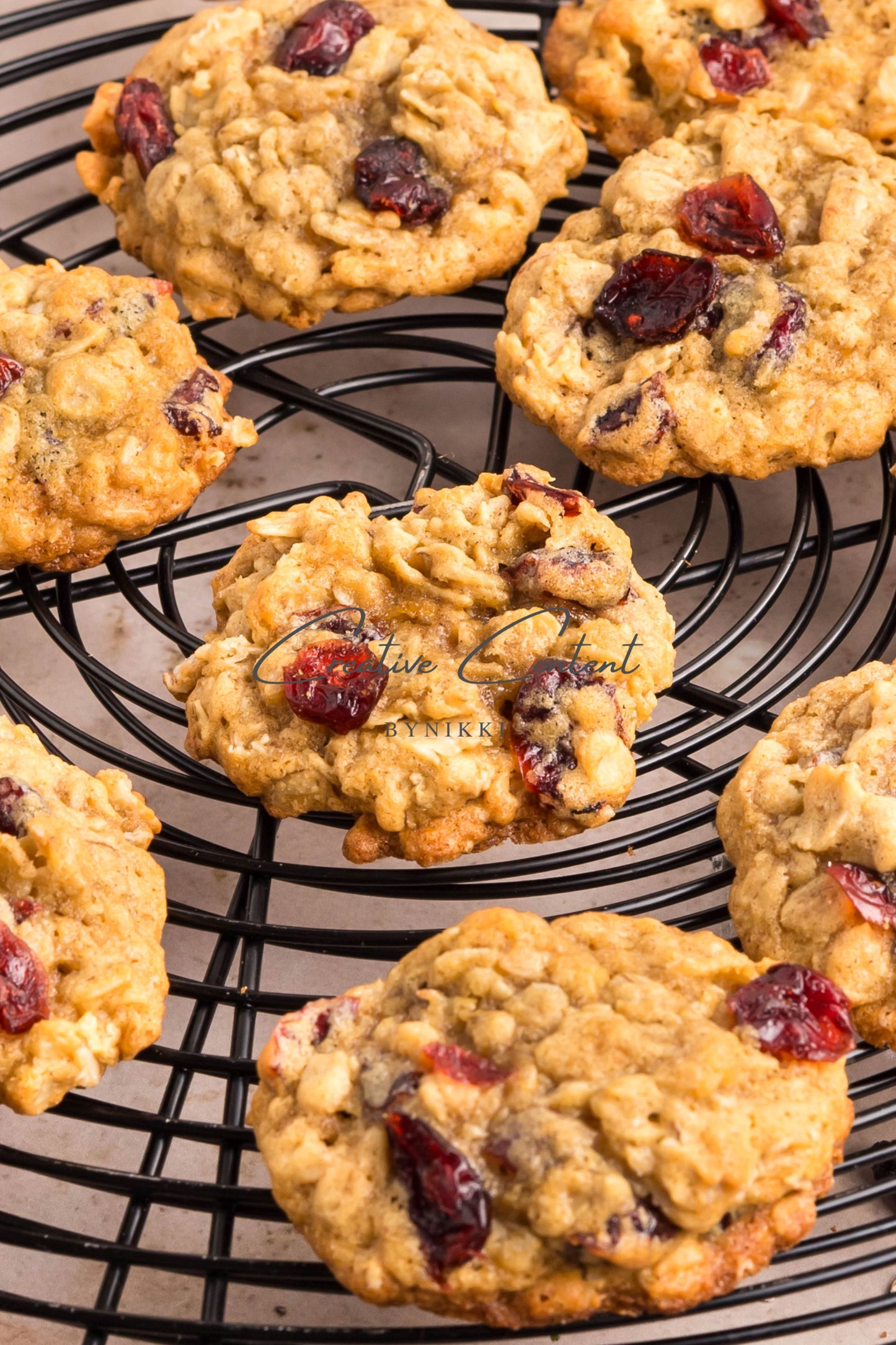 Cranberry Oatmeal Cookies - Set 2 of 2