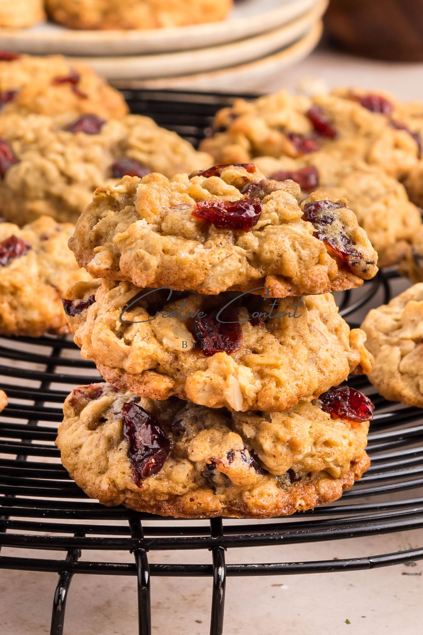 Cranberry Oatmeal Cookies - Set 2 of 2