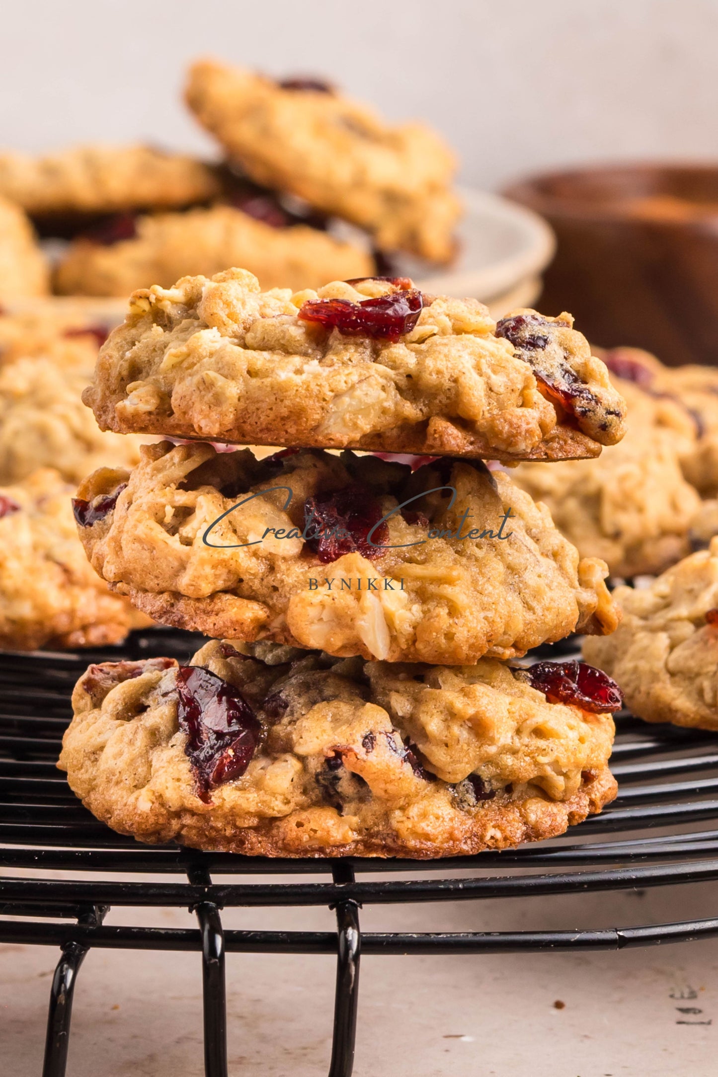 Cranberry Oatmeal Cookies - Set 2 of 2