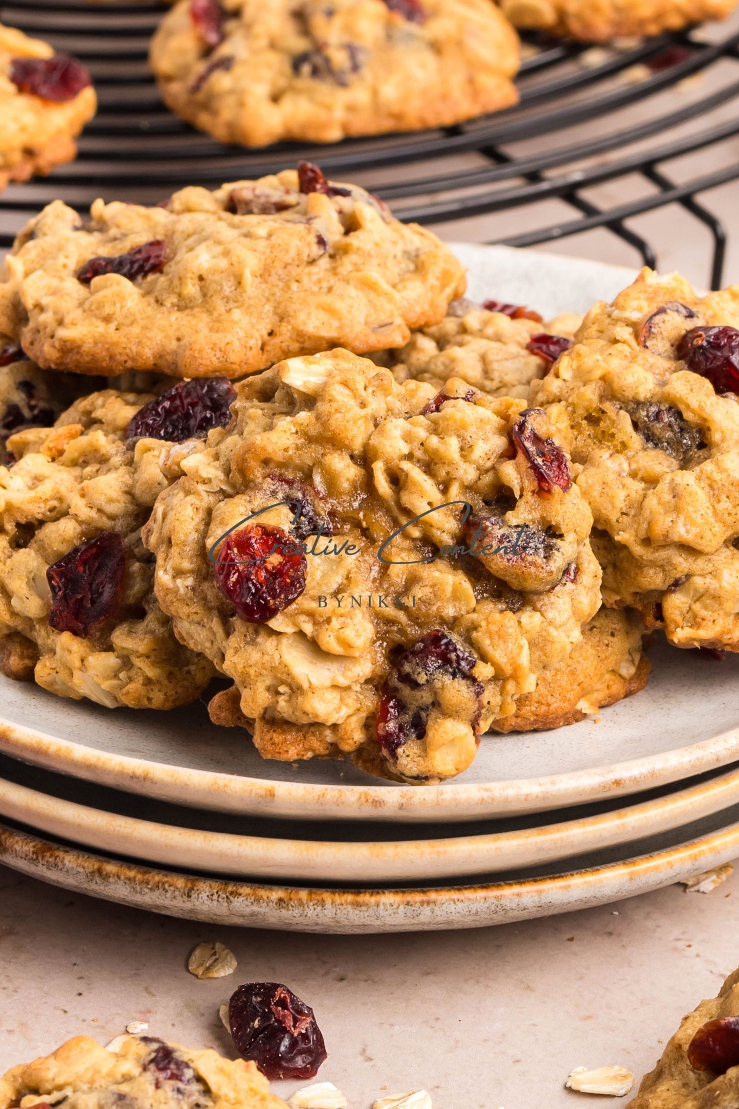 Cranberry Oatmeal Cookies - Set 2 of 2