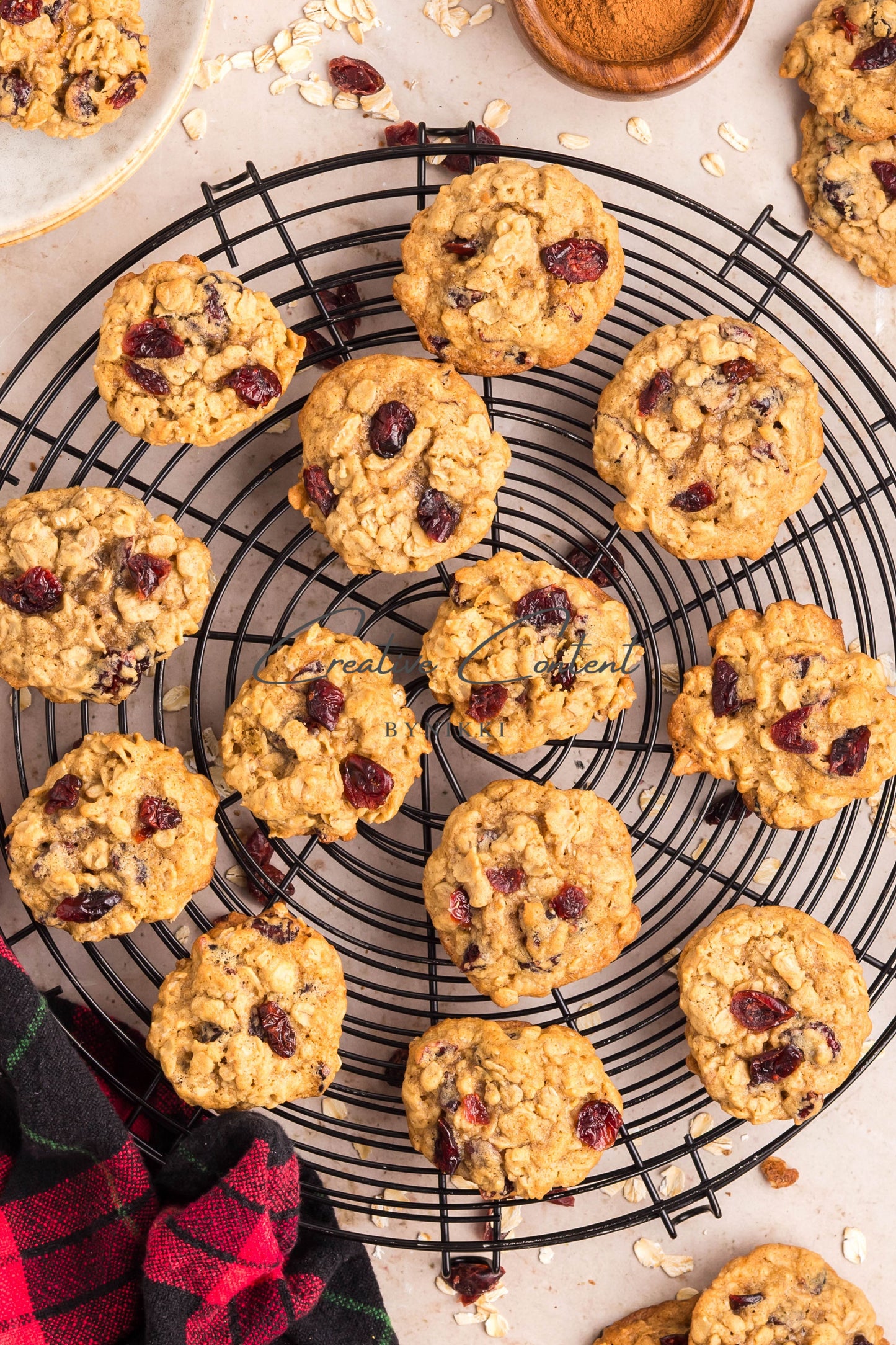 Cranberry Oatmeal Cookies - Set 2 of 2