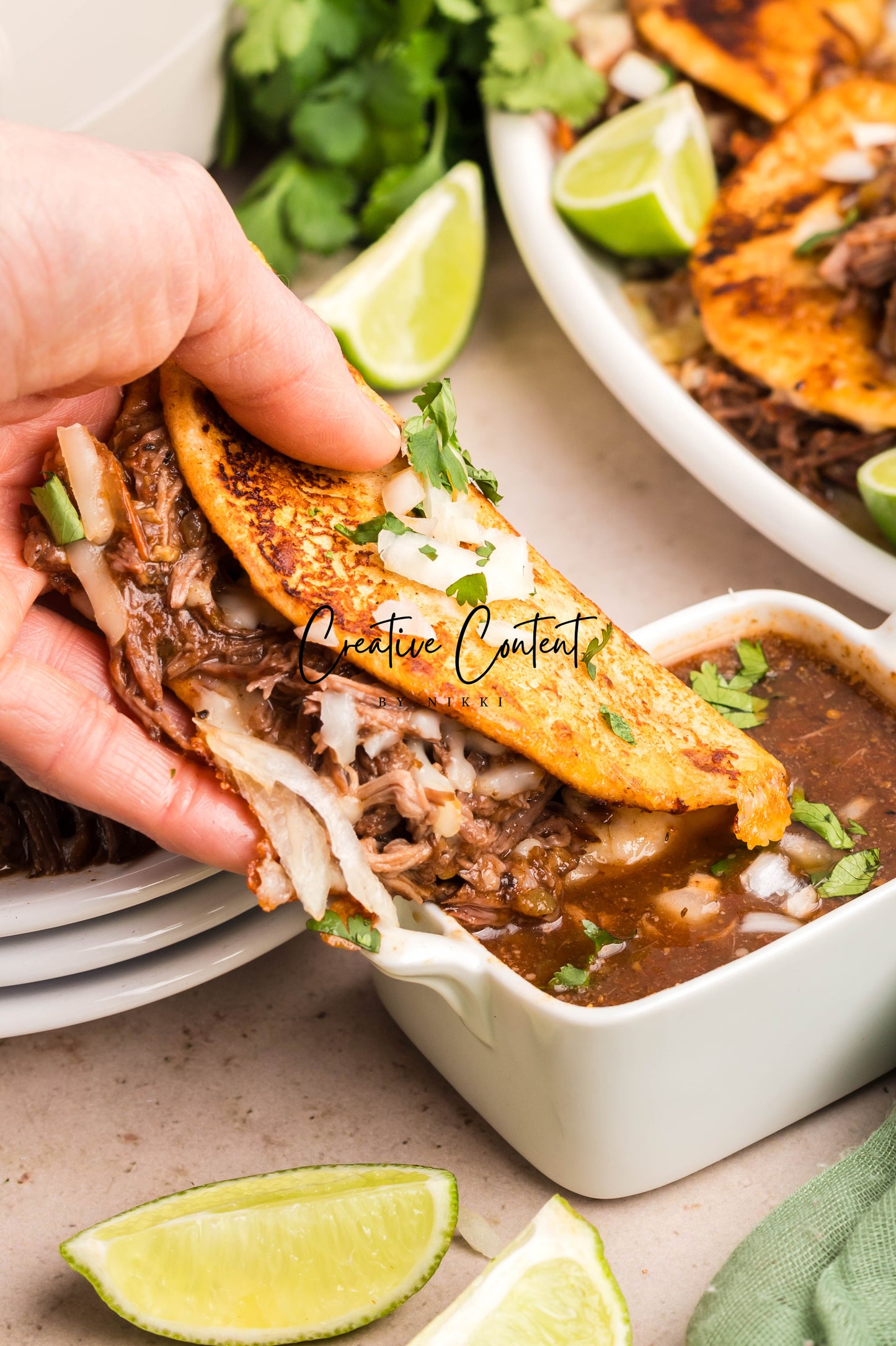 Crock Pot Birria Tacos - Exclusive