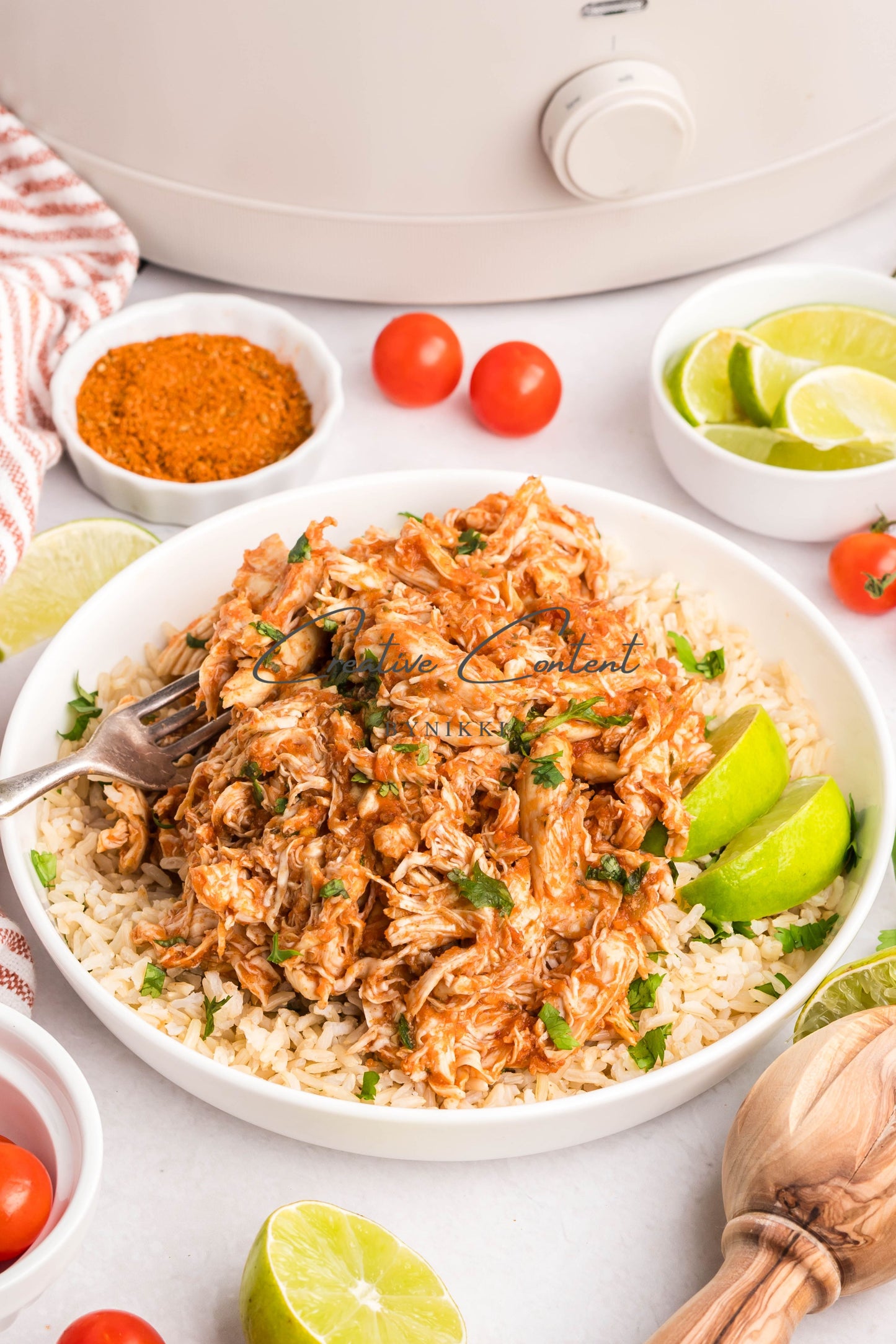 Crockpot Salsa Chicken - Set 1 of 2