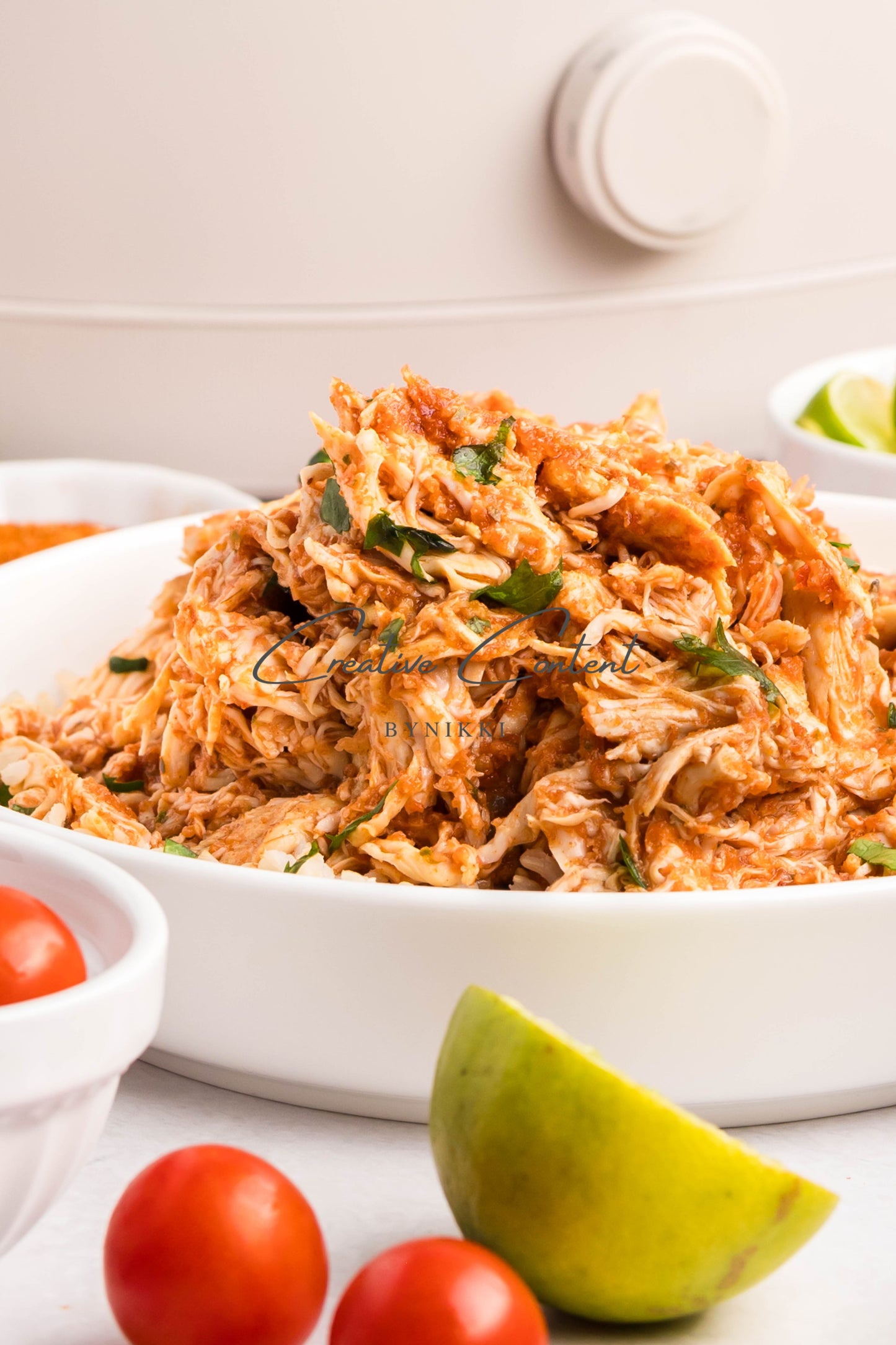 Crockpot Salsa Chicken - Set 1 of 2