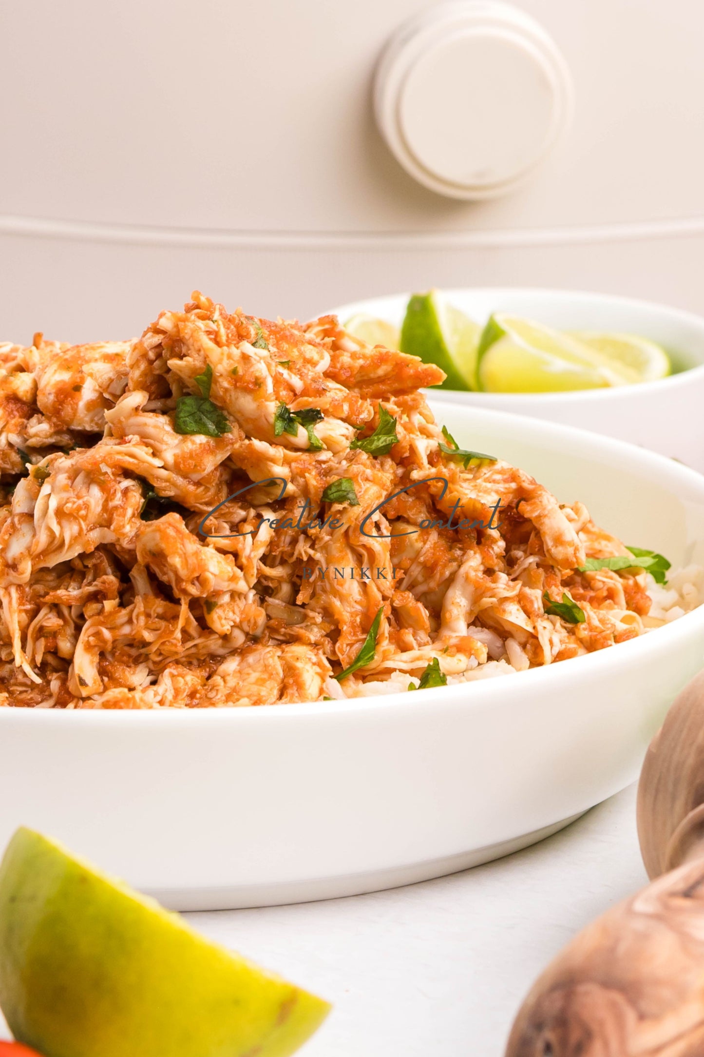 Crockpot Salsa Chicken - Set 1 of 2