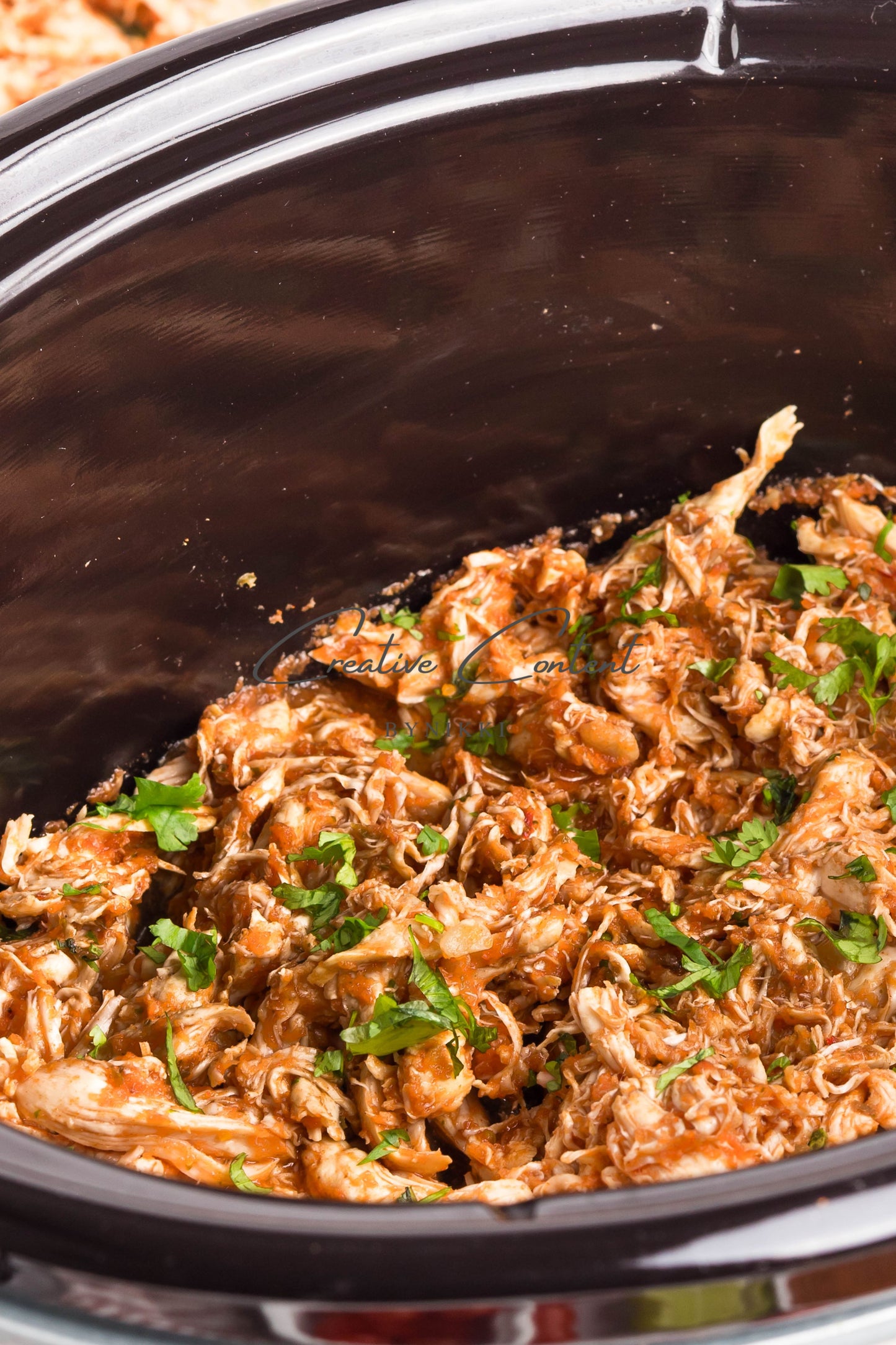 Crockpot Salsa Chicken - Set 1 of 2