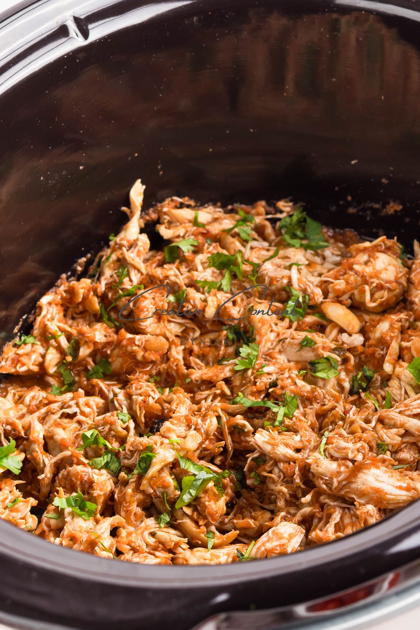 Crockpot Salsa Chicken - Set 1 of 2