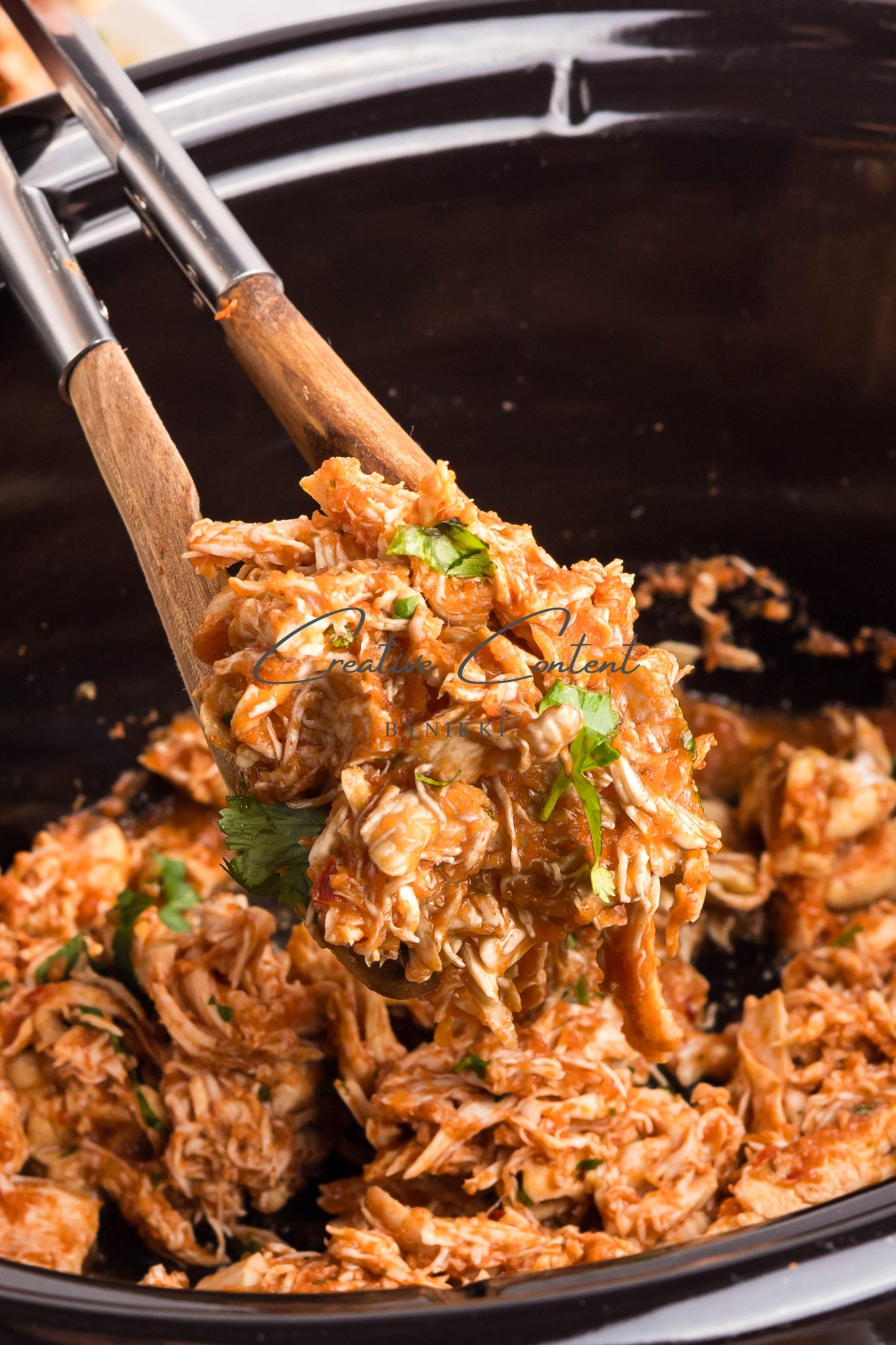 Crockpot Salsa Chicken - Set 1 of 2