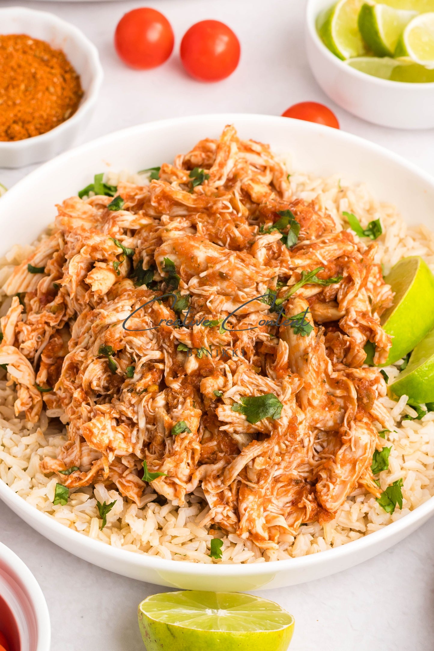 Crockpot Salsa Chicken - Set 1 of 2