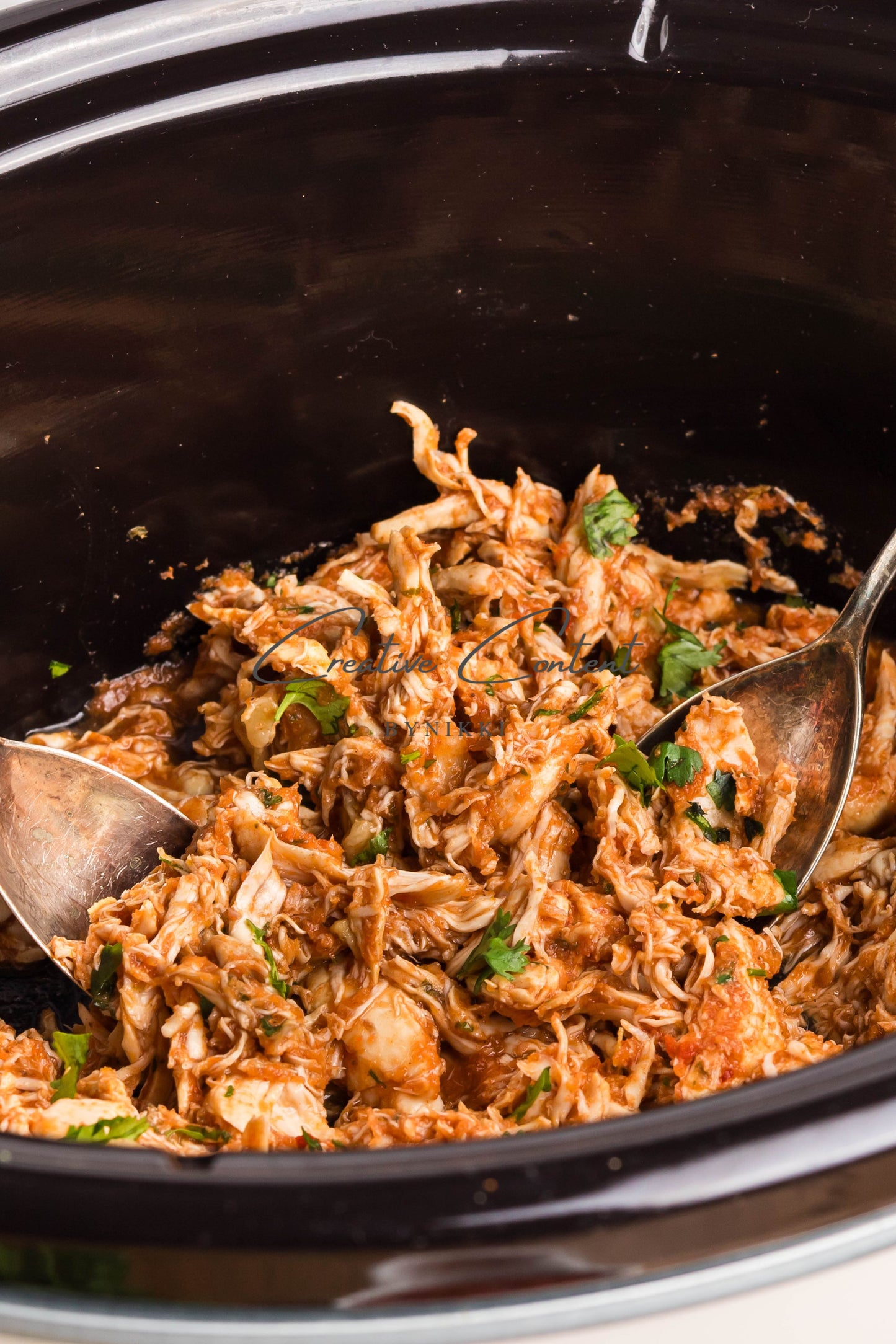 Crockpot Salsa Chicken -   Set 2 of 2