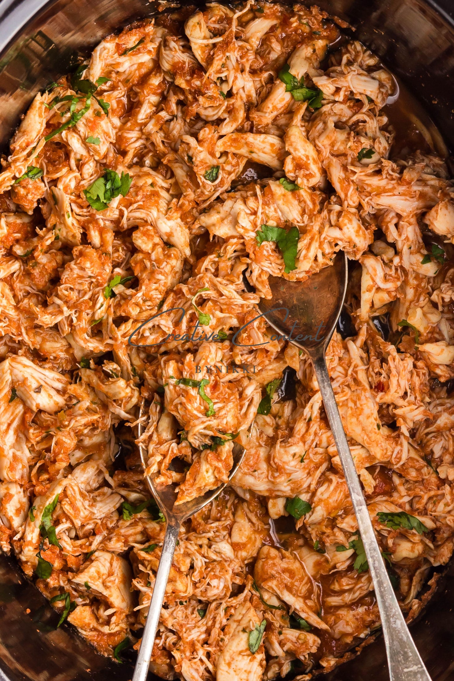 Crockpot Salsa Chicken -   Set 2 of 2