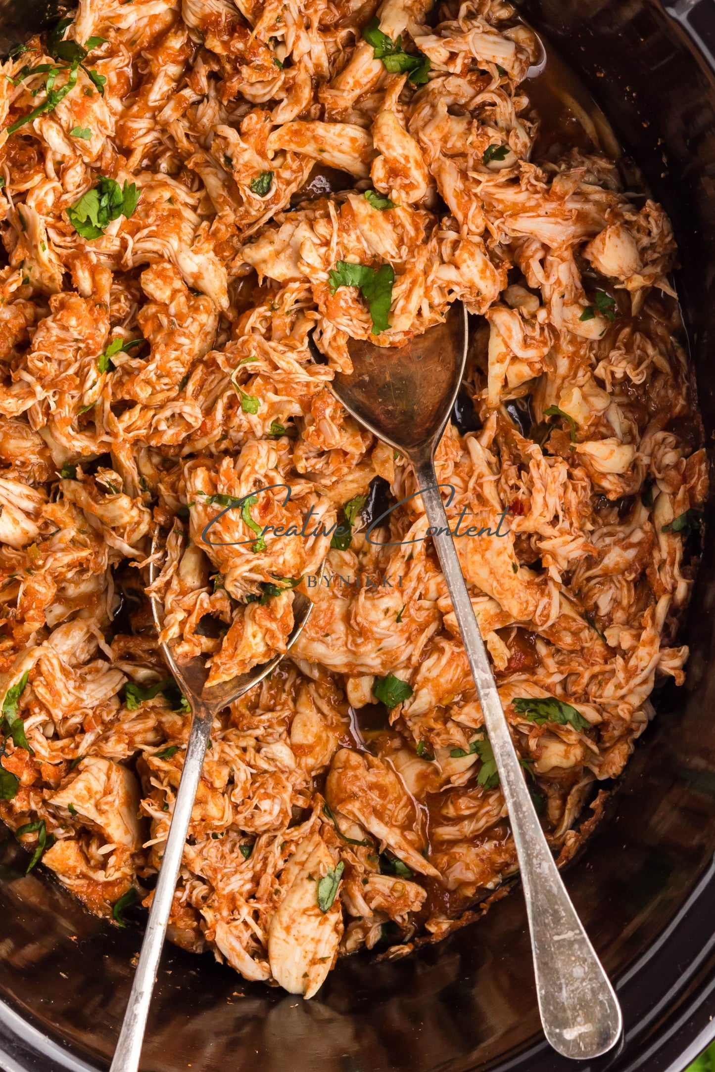 Crockpot Salsa Chicken -   Set 2 of 2