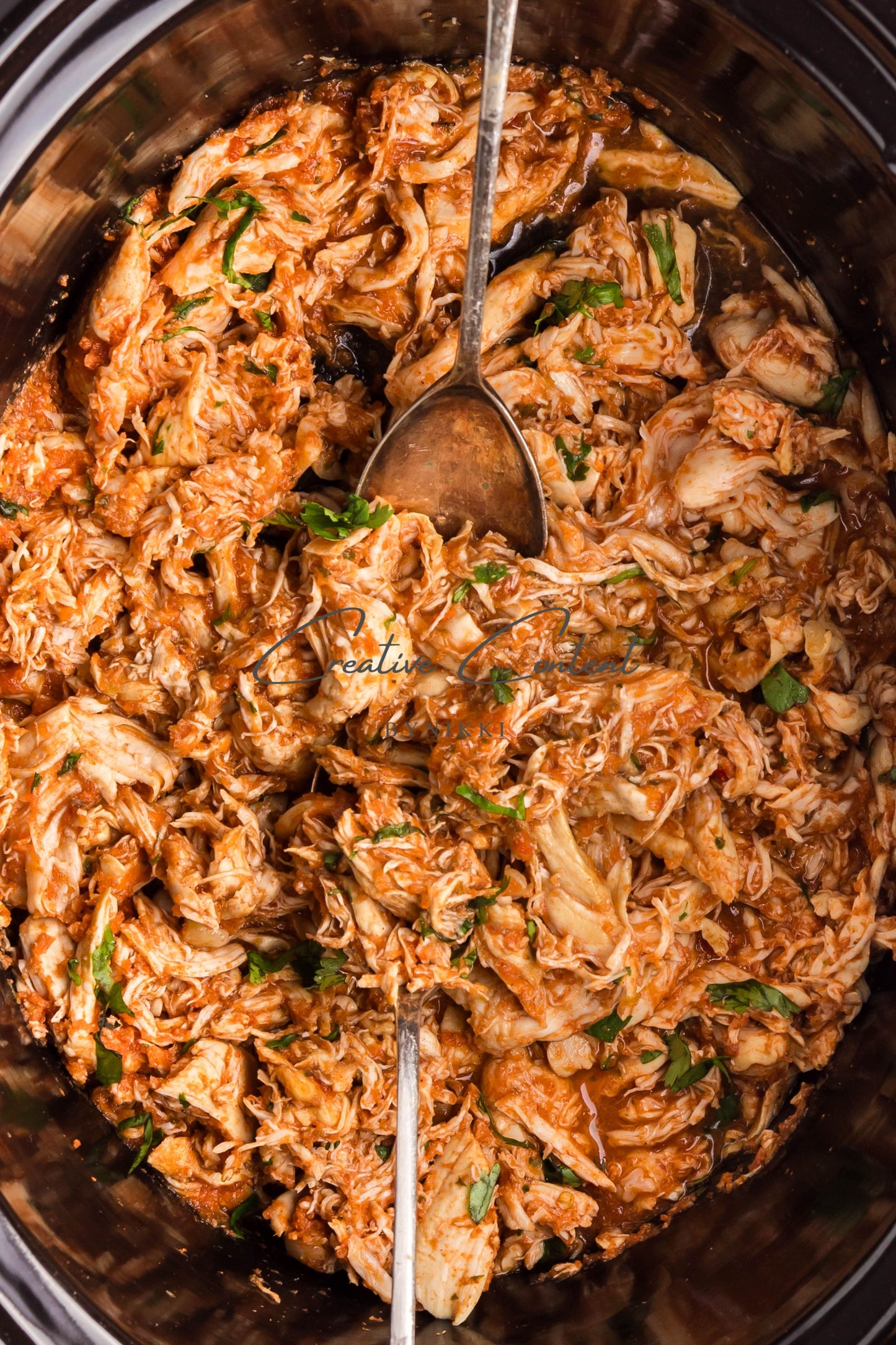 Crockpot Salsa Chicken -   Set 2 of 2