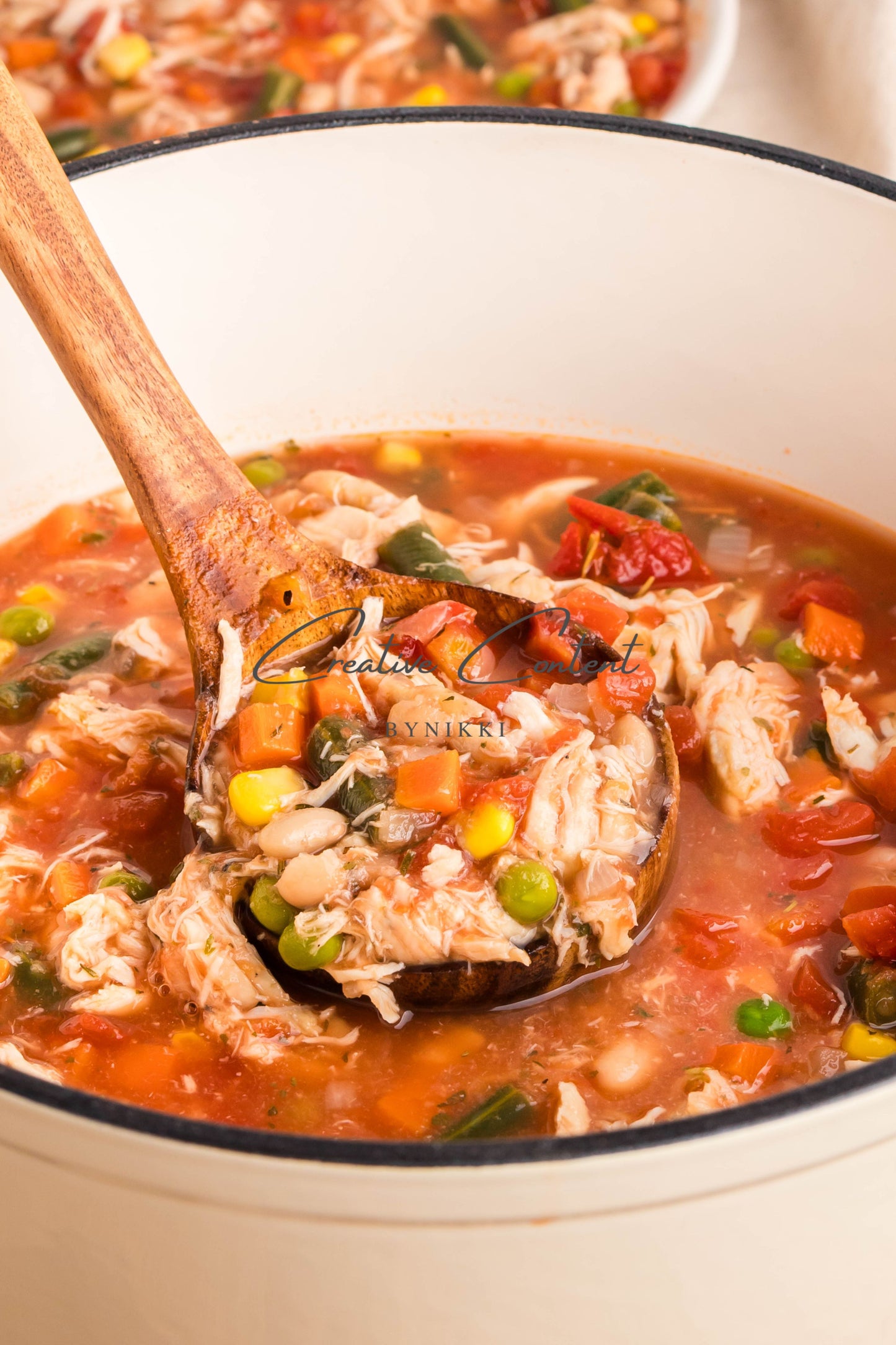 Hearty Chicken Vegetable Bean Soup -  Exclusive