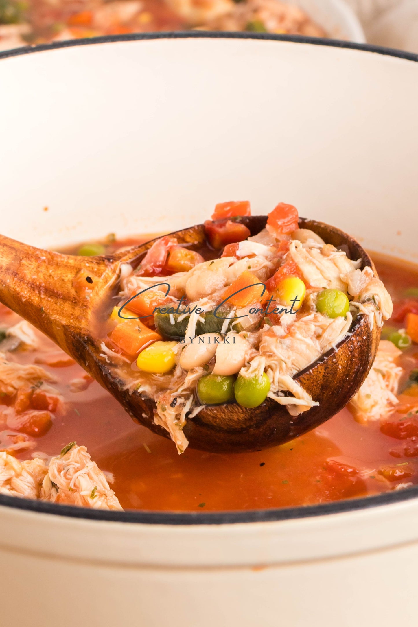 Hearty Chicken Vegetable Bean Soup -  Exclusive