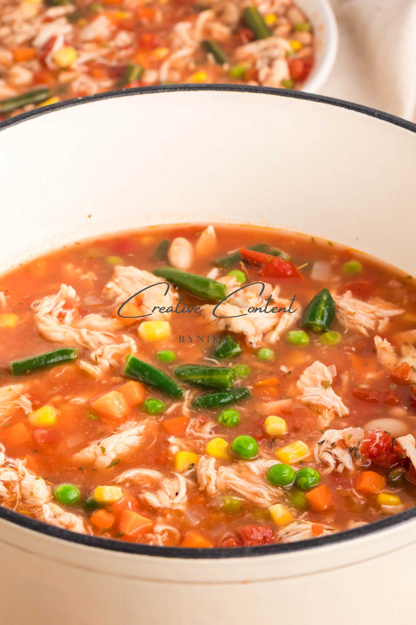 Hearty Chicken Vegetable Bean Soup -  Exclusive