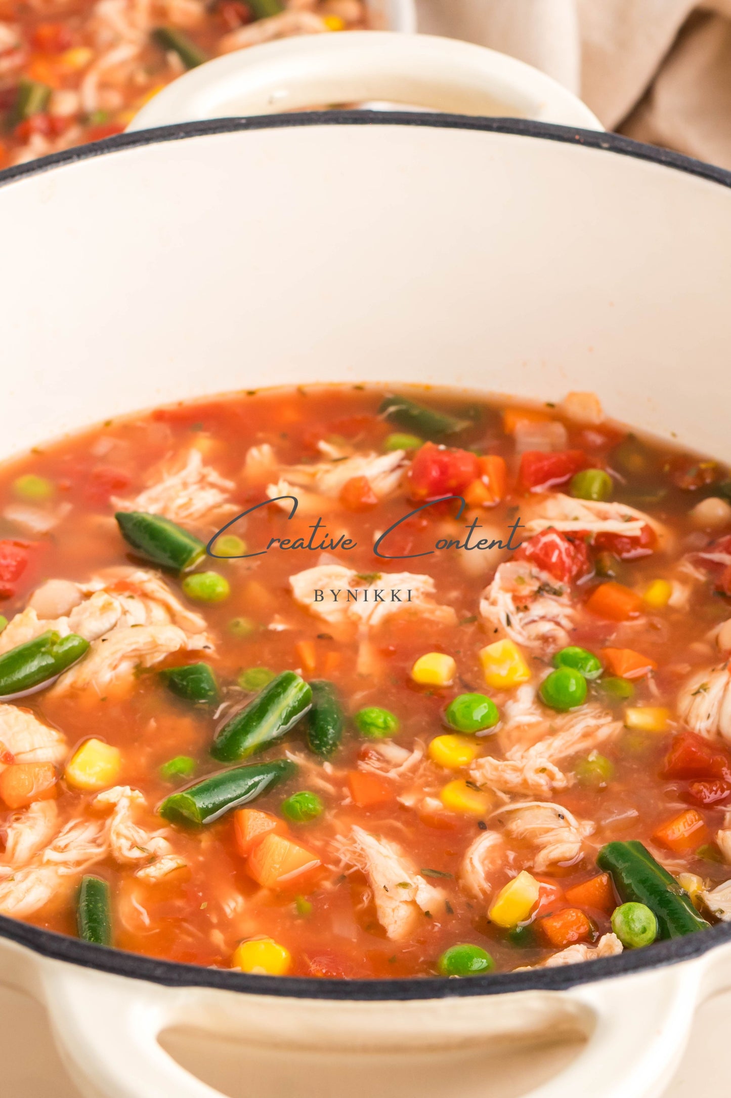 Hearty Chicken Vegetable Bean Soup -  Exclusive