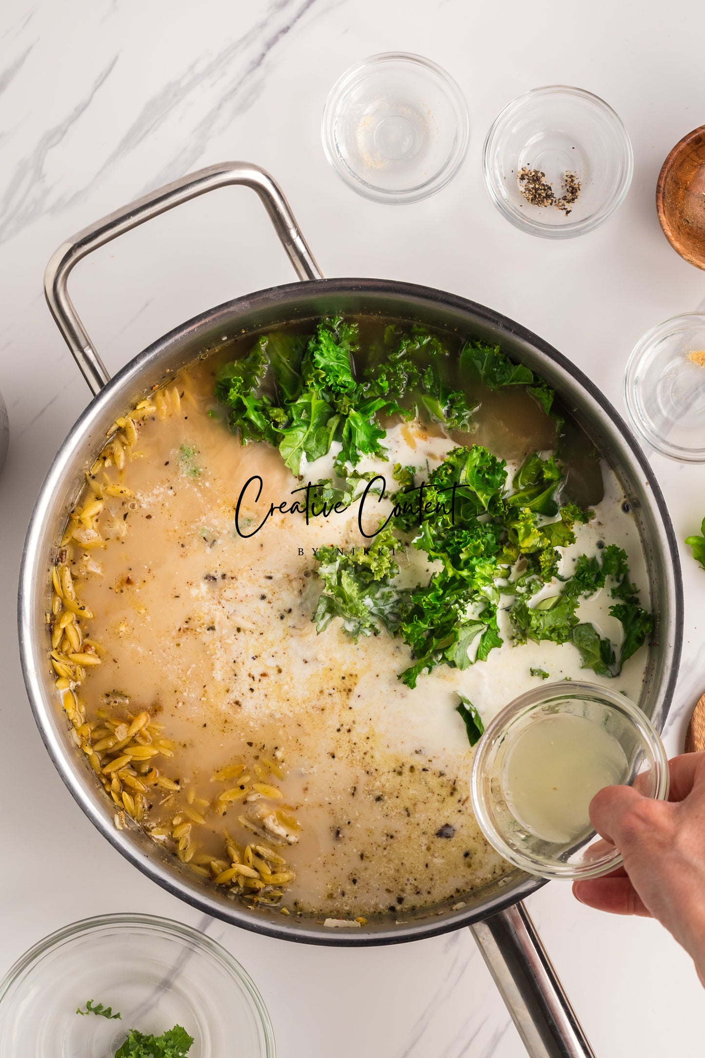 Lemon Chicken Orzo Pasta - Set 1 of 2