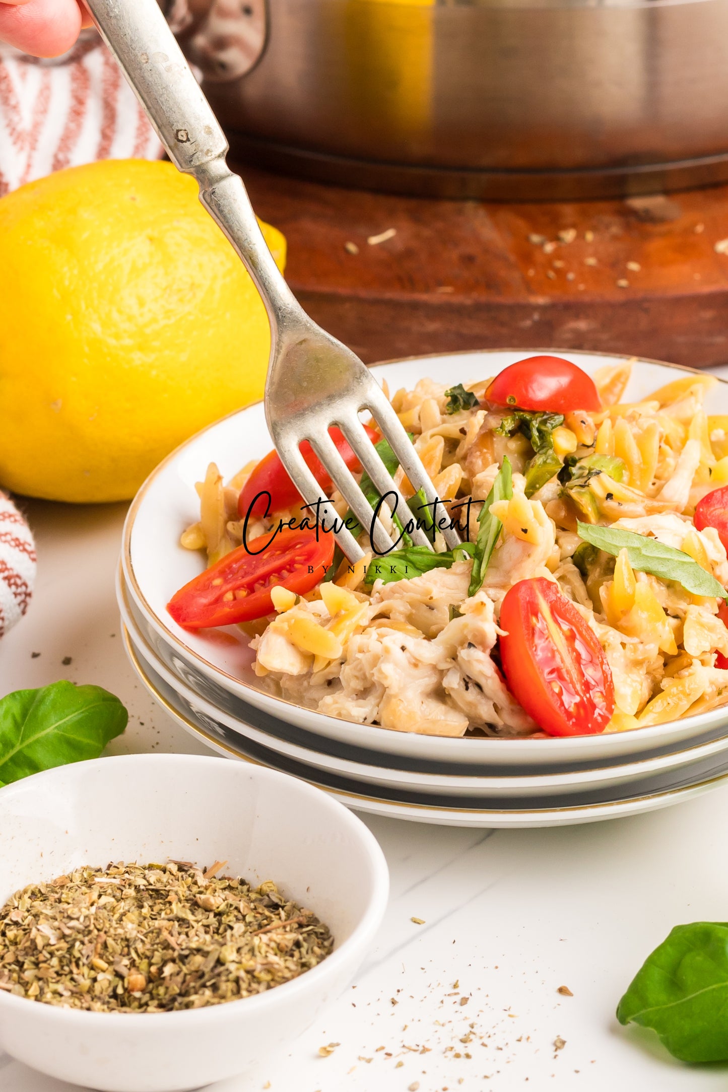 Lemon Chicken Orzo Pasta - Set 1 of 2