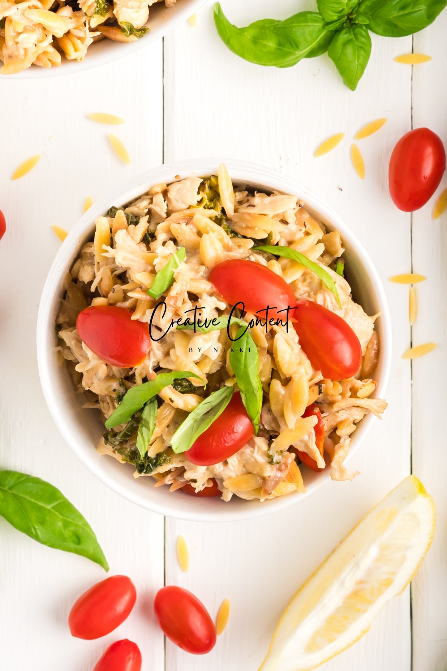 Lemon Chicken Orzo Pasta - Set 2 of 2