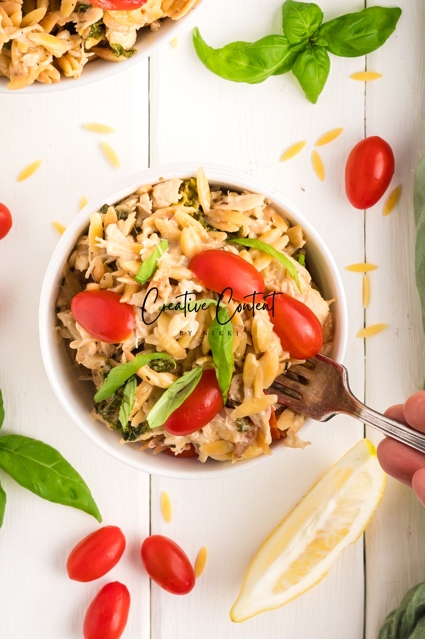 Lemon Chicken Orzo Pasta - Set 2 of 2