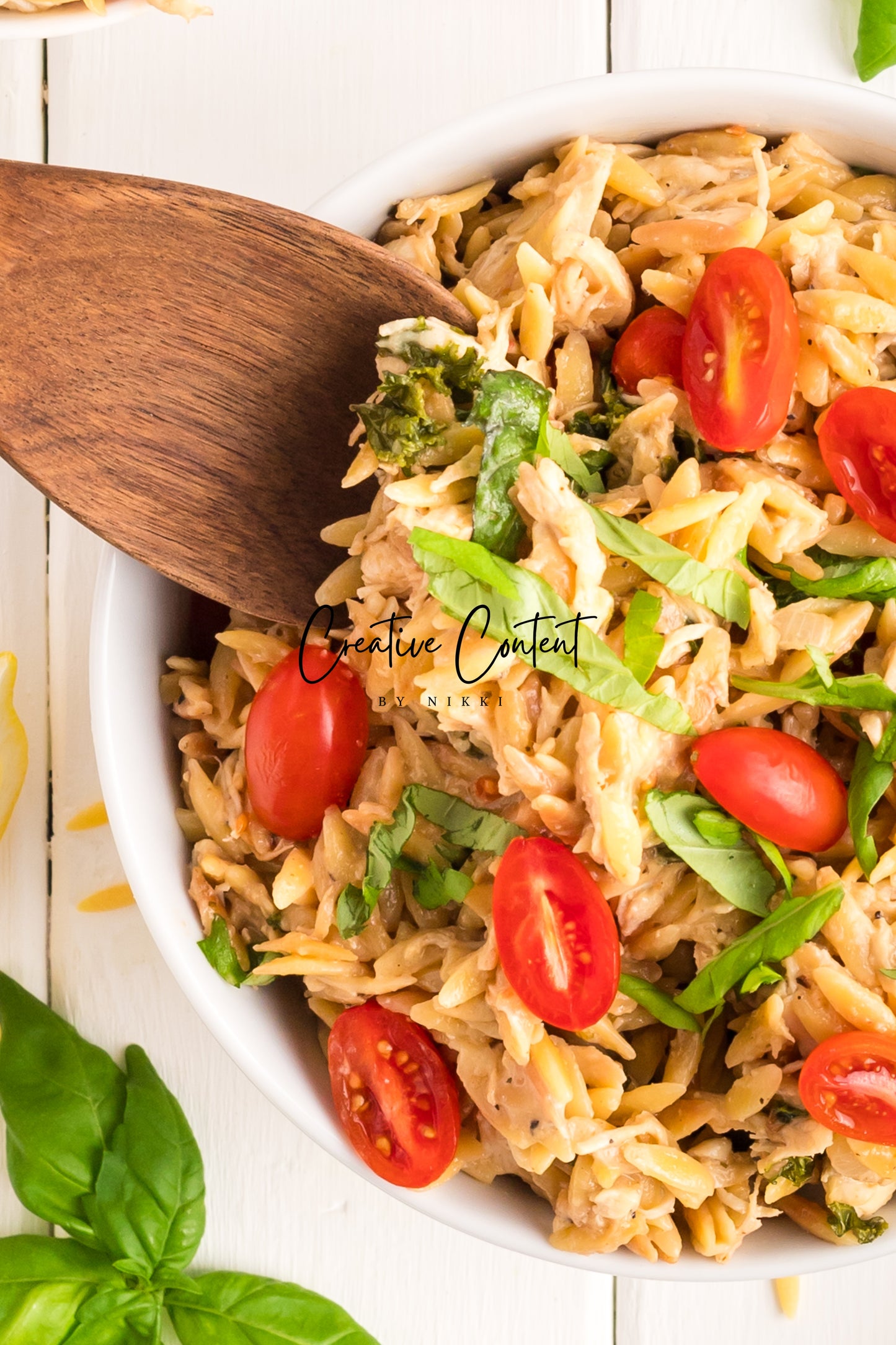 Lemon Chicken Orzo Pasta - Set 2 of 2
