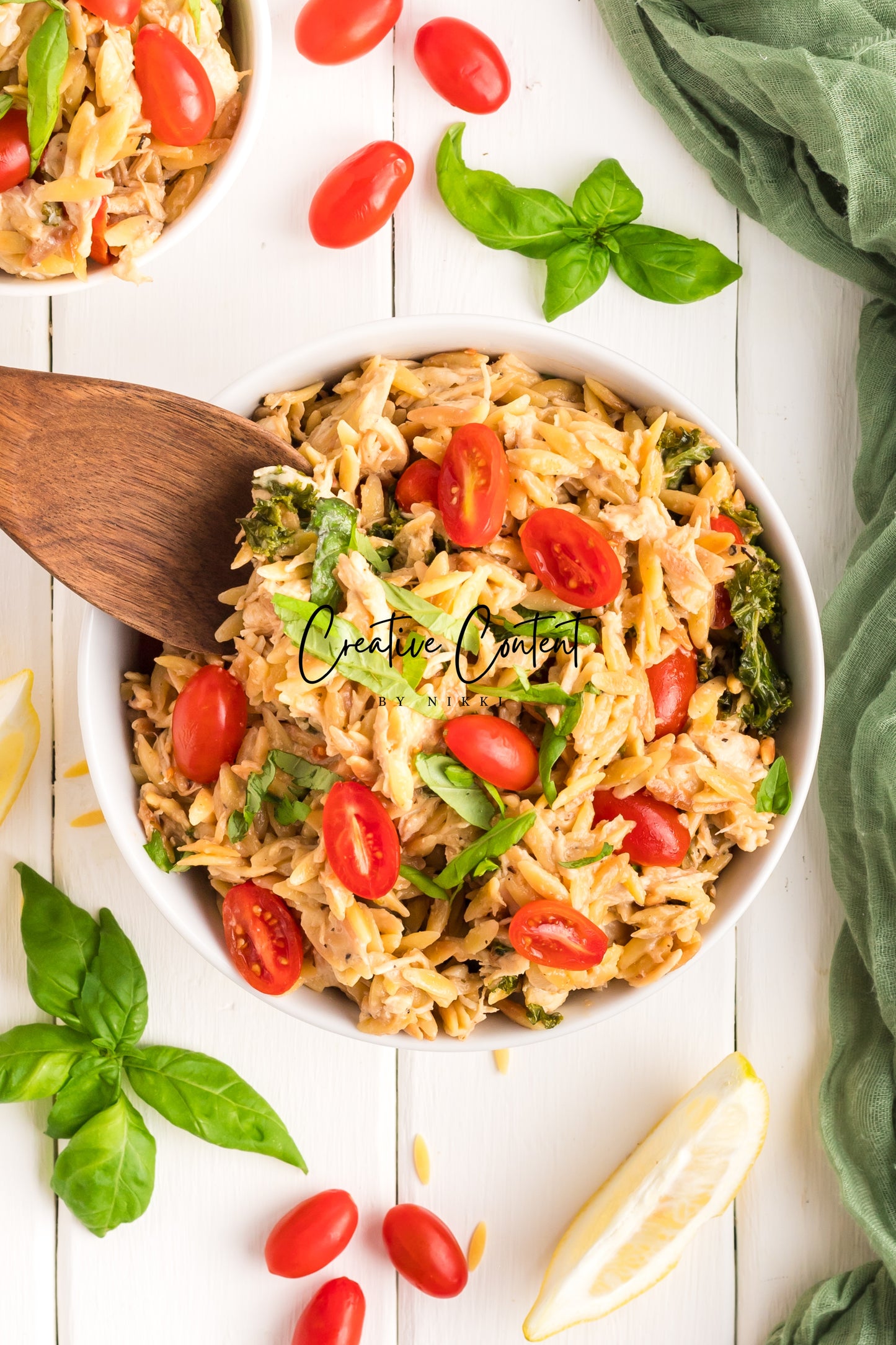 Lemon Chicken Orzo Pasta - Set 2 of 2