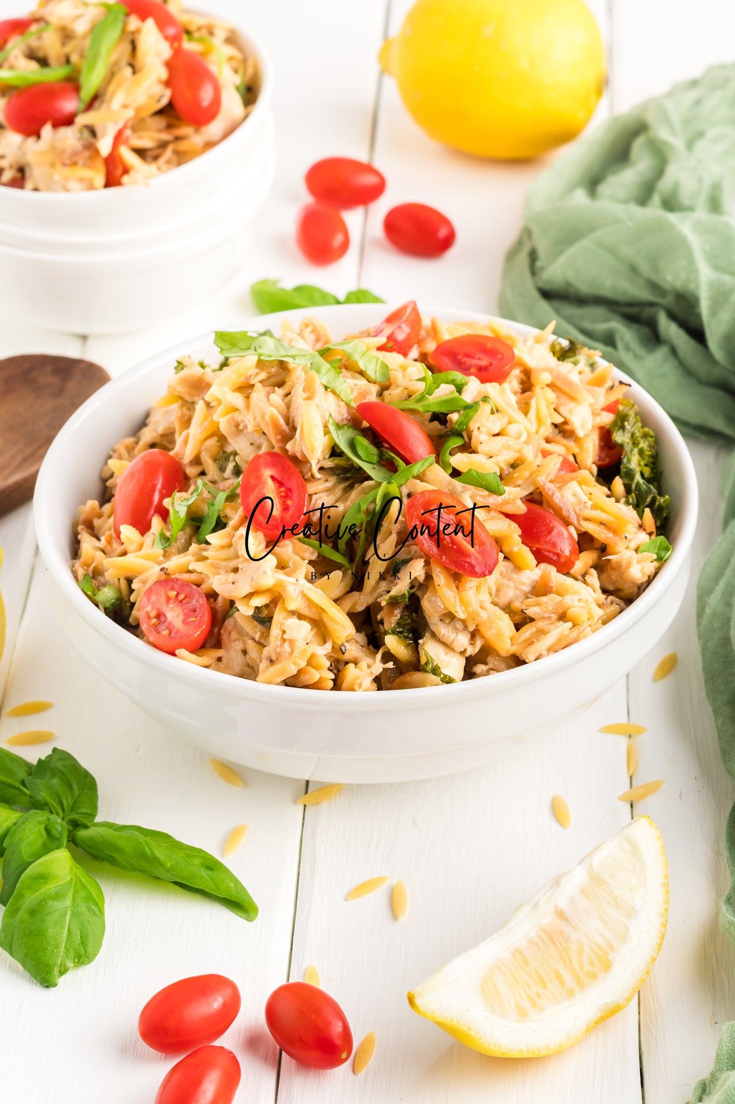 Lemon Chicken Orzo Pasta - Set 2 of 2