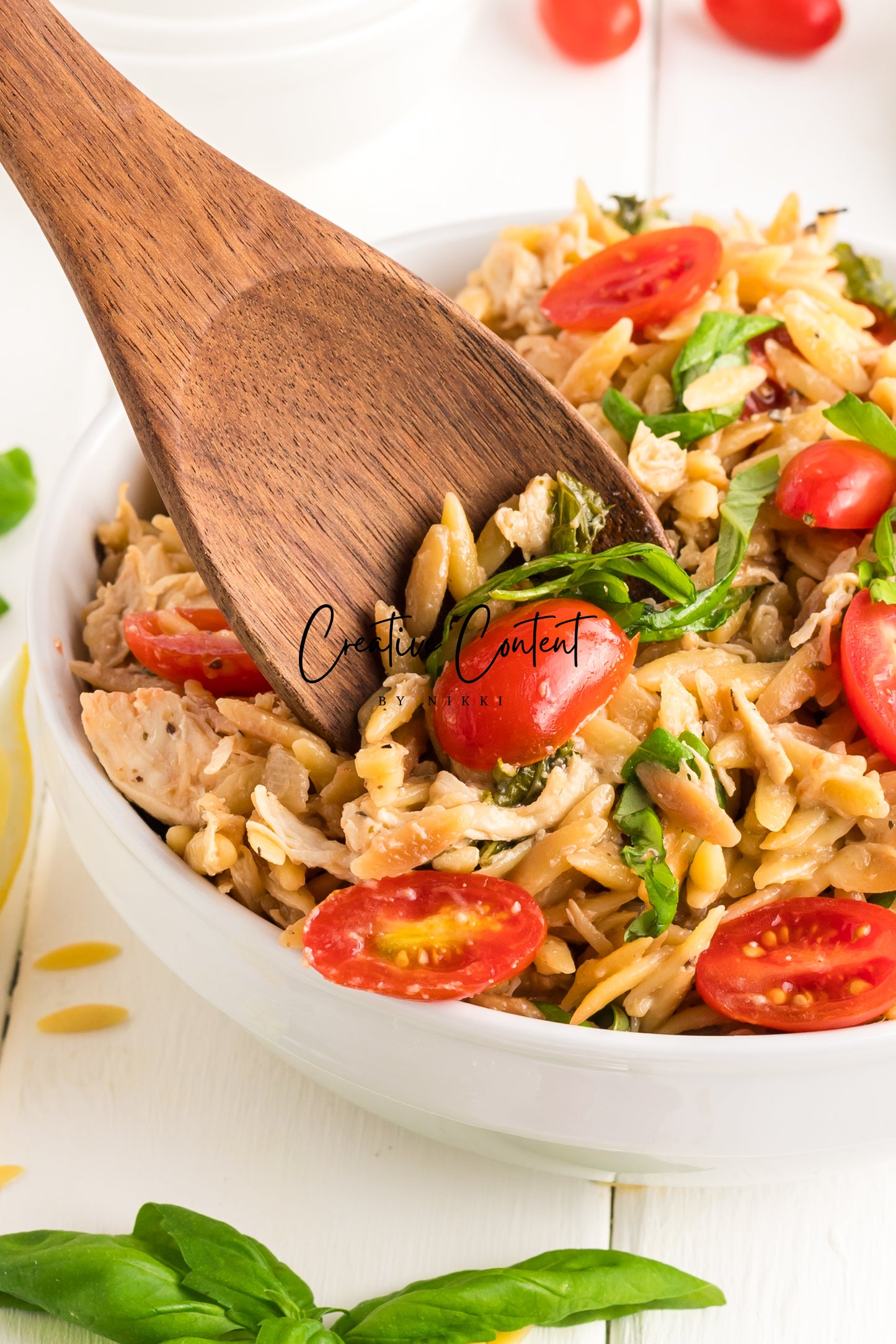 Lemon Chicken Orzo Pasta - Set 2 of 2