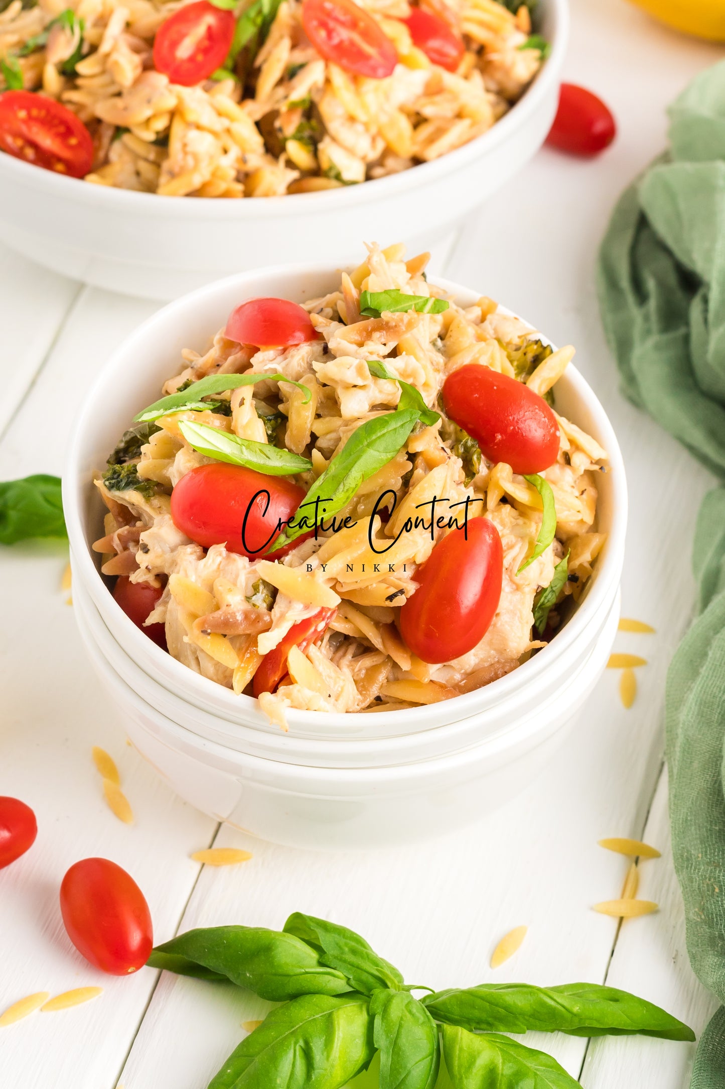 Lemon Chicken Orzo Pasta - Set 2 of 2
