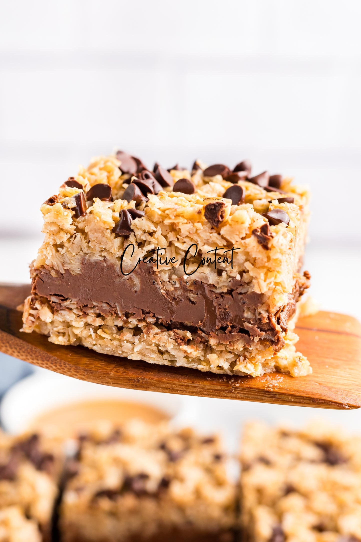 No Bake Chocolate Peanut Butter Oatmeal Bars - Exclusive