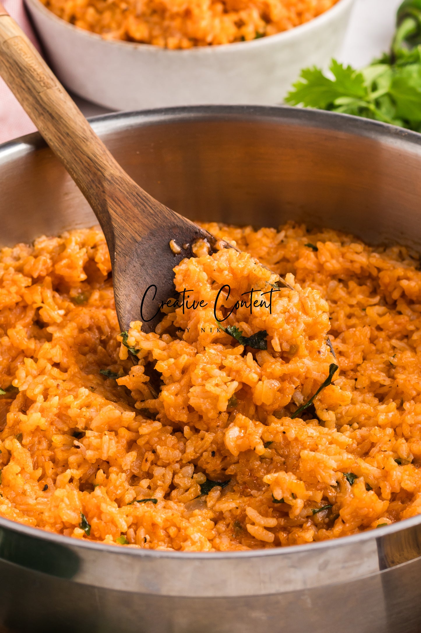 Spanish Rice - Exclusive