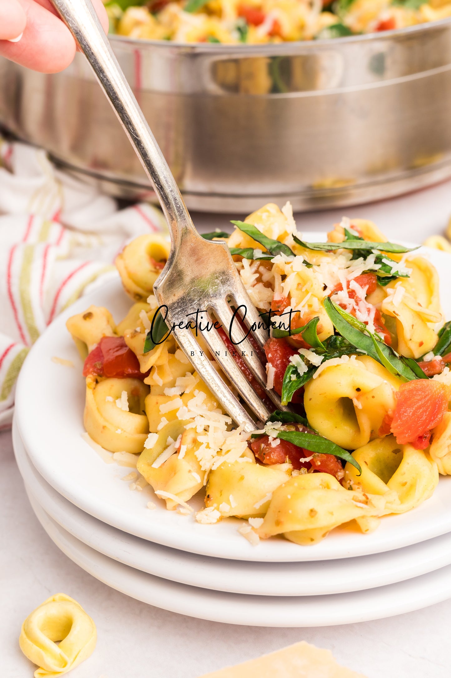 Spinach Ricotta Tortellini - Set 1 of 2
