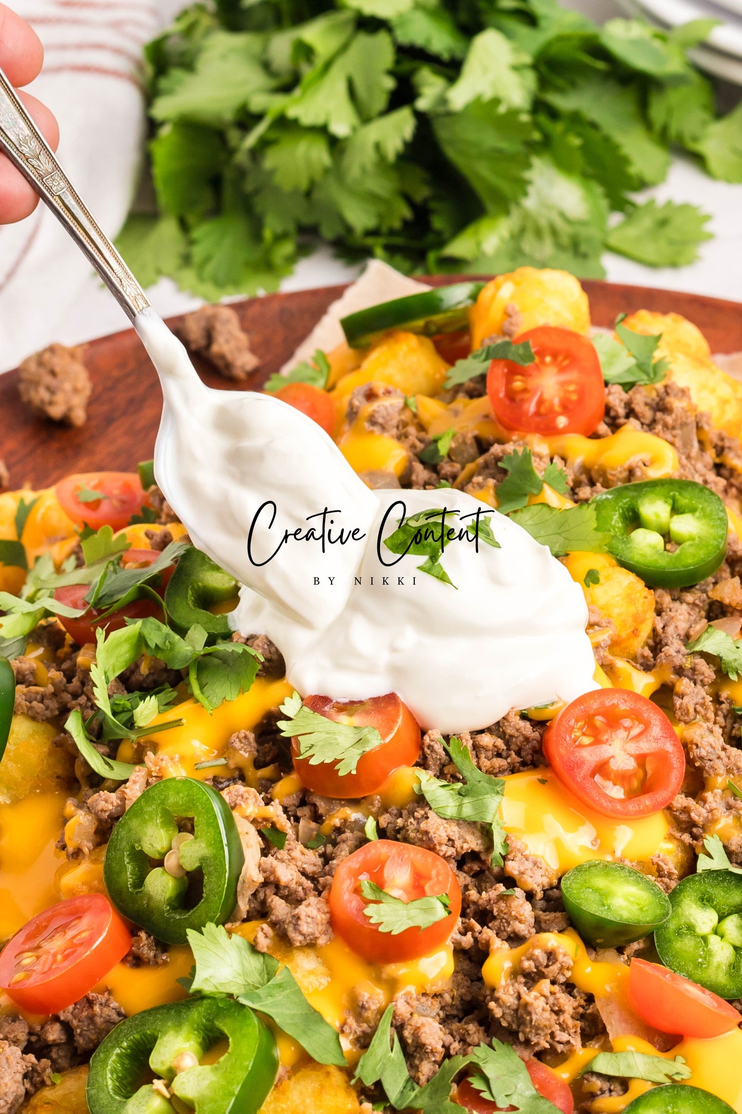 Tachos - Exclusive